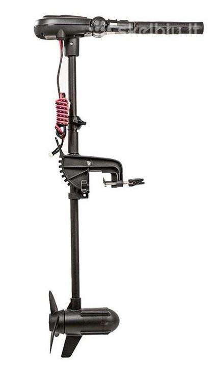 Haswing Protruar 1.0, electric