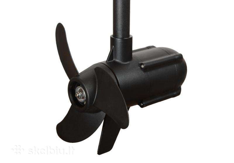 Haswing Protruar 1.0, electric