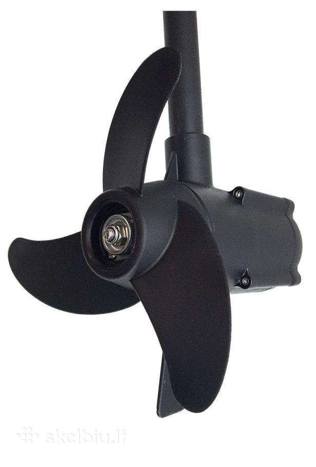 Haswing Protruar 1.0, electric