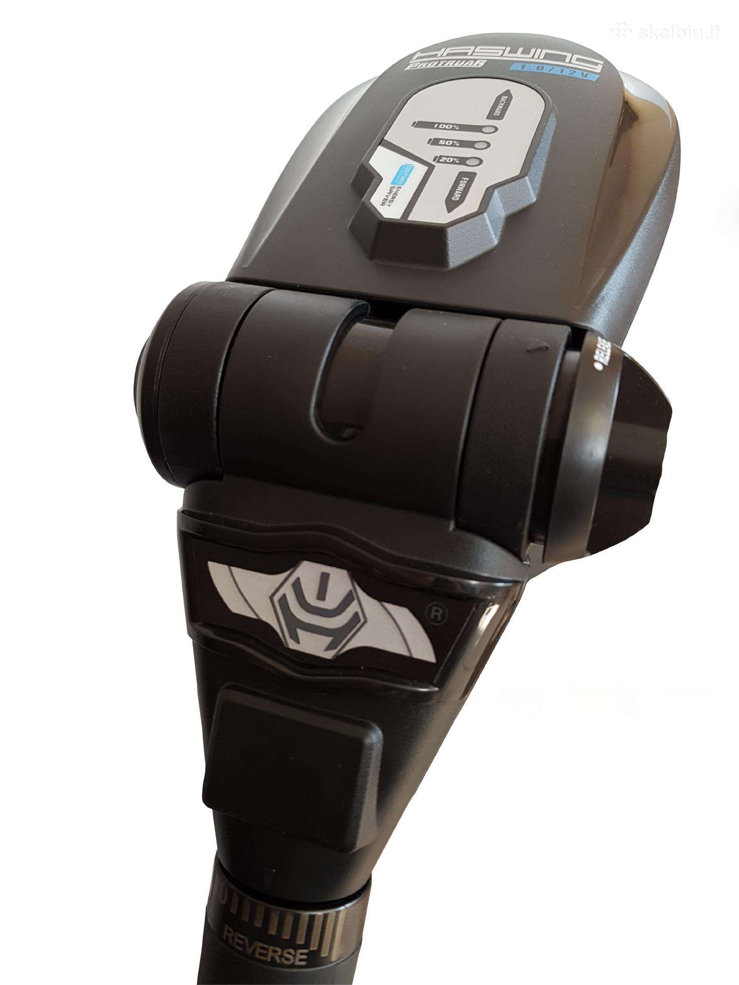 Haswing Protruar 1.0, electric