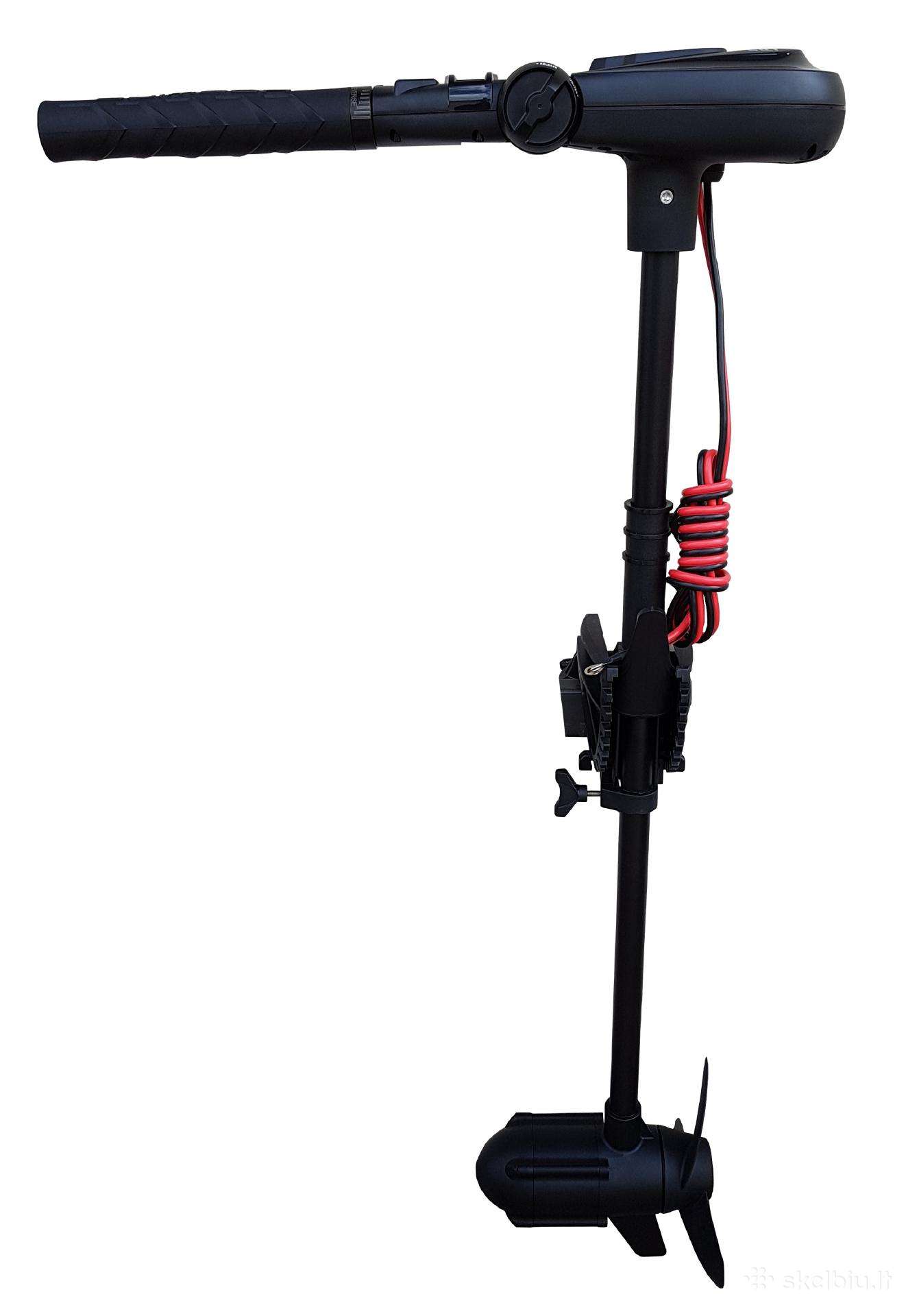 Haswing Protruar 1.0, electric