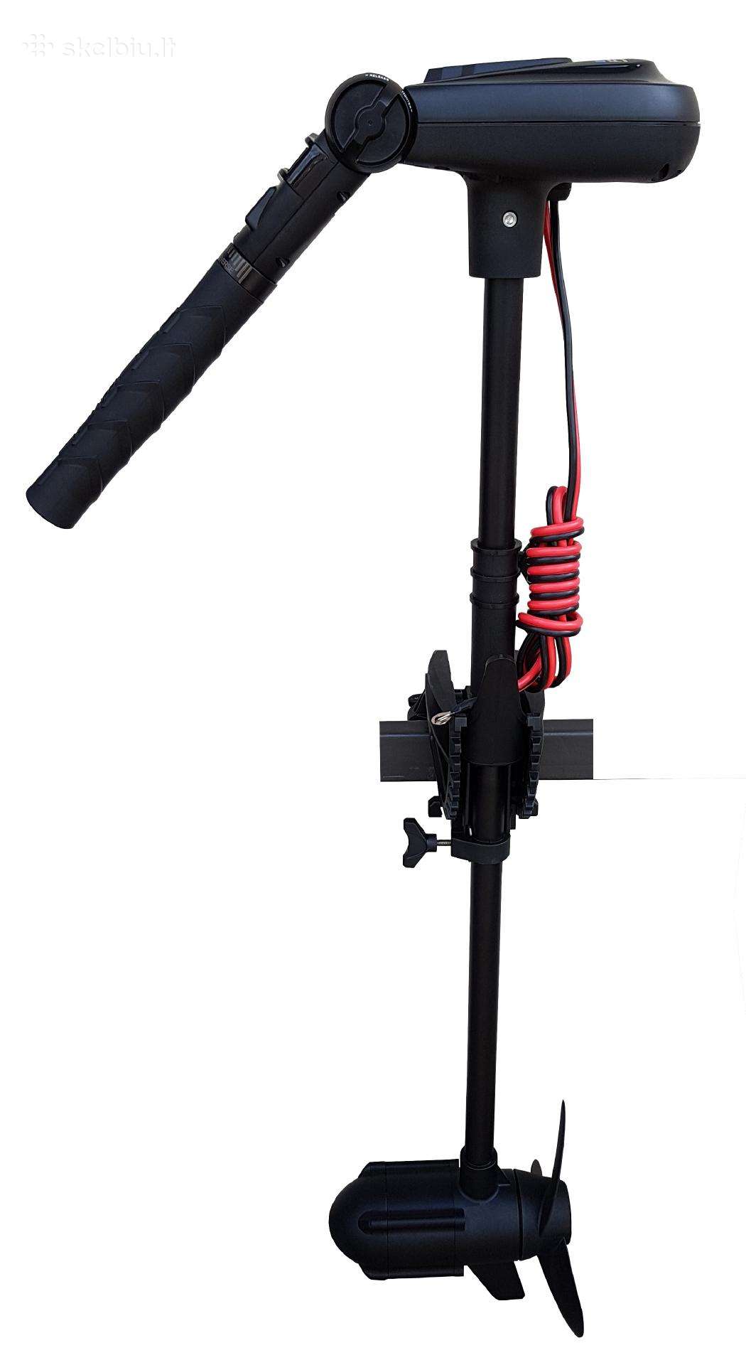 Haswing Protruar 1.0, electric