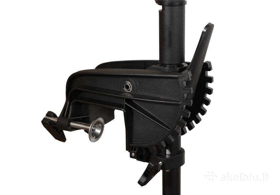Haswing Protruar 1.0, electric