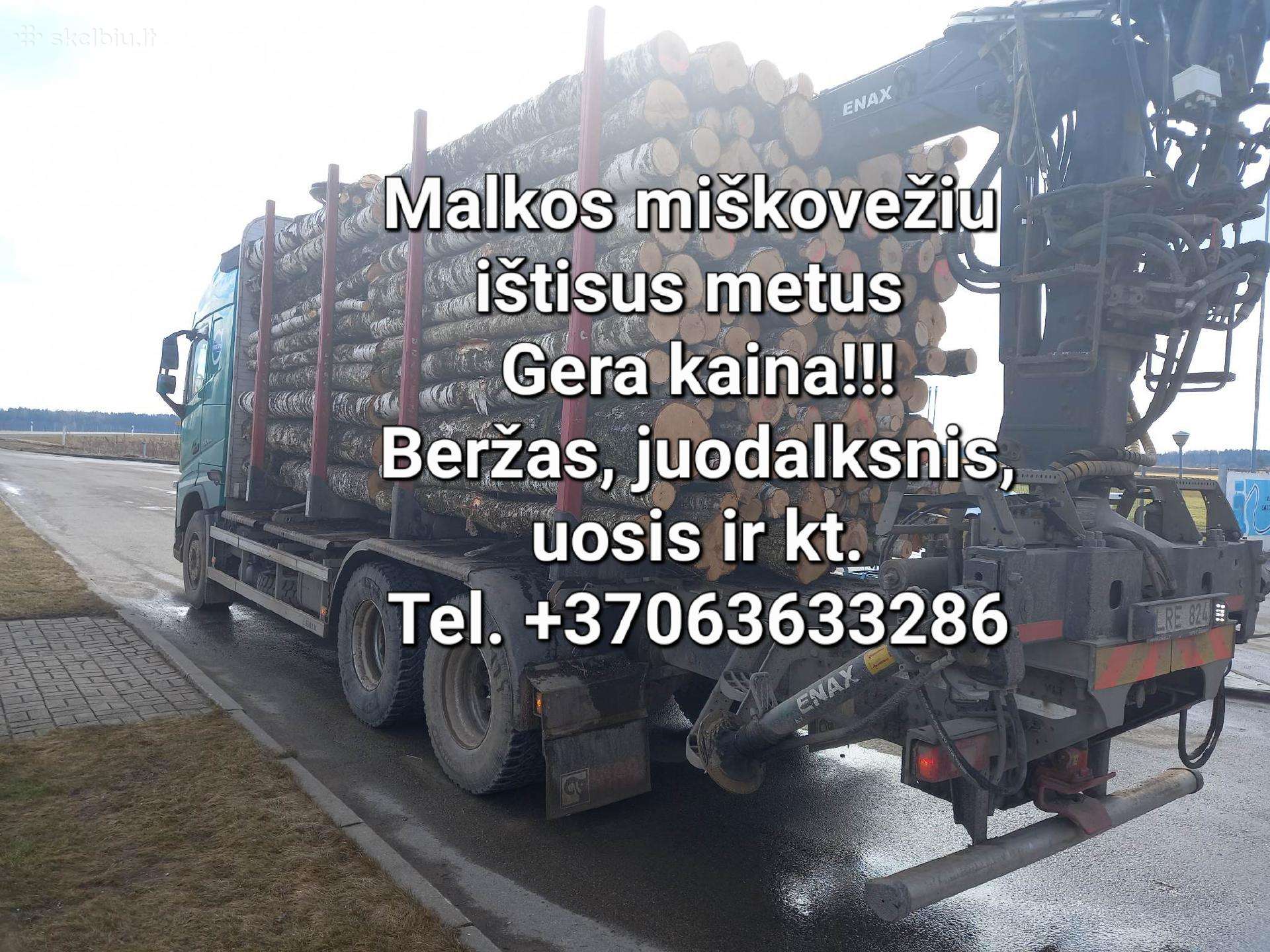 Malkos miškovežiu ištisus metus