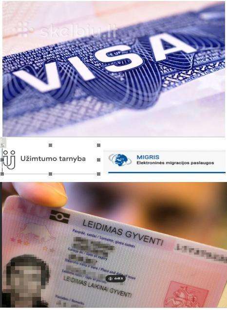 Darbuot legalizavimas Deklaravimas Med pažymos 95