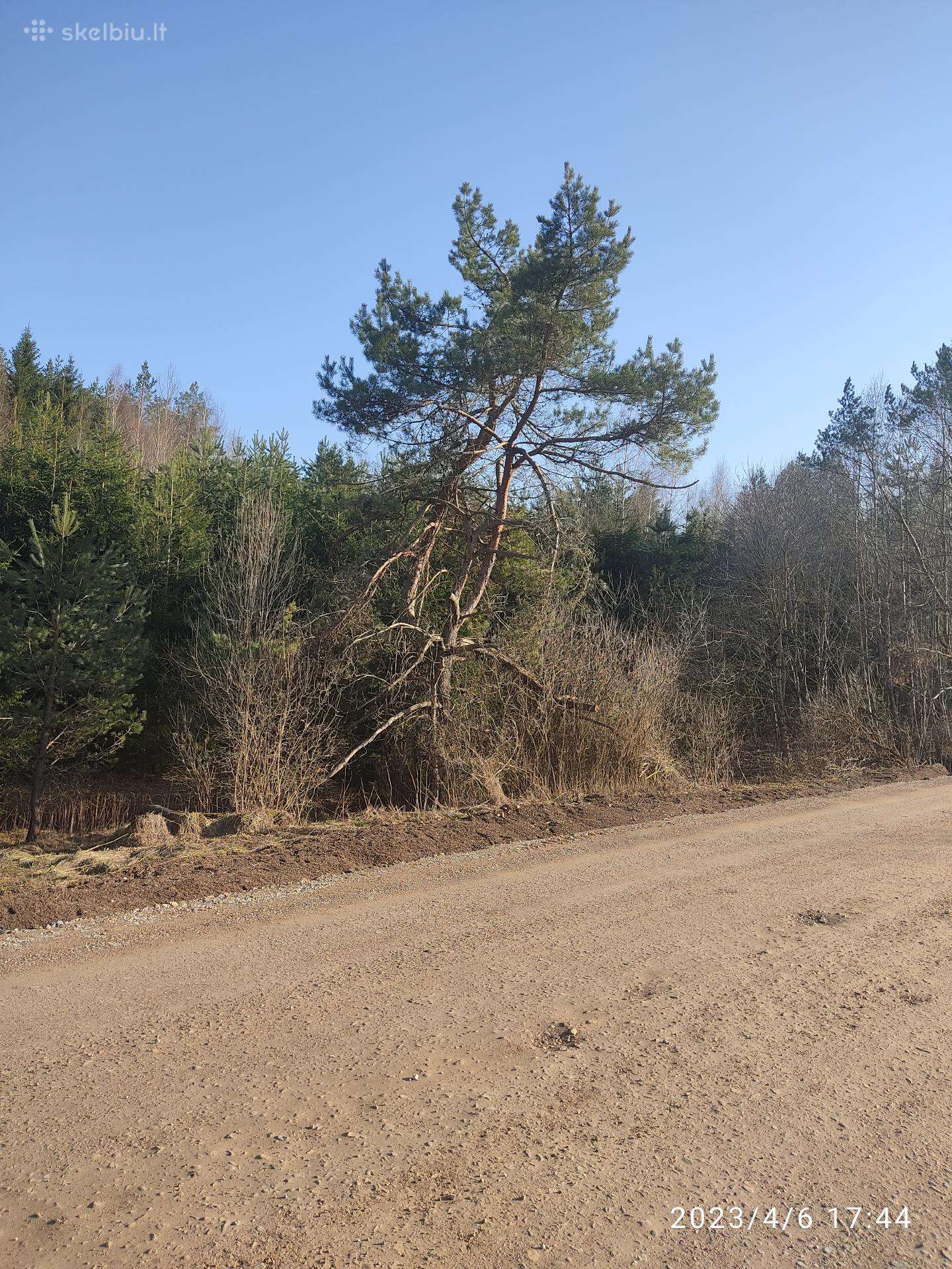 Parduodamas 0,82ha žemės ūkio paskirties sklypas