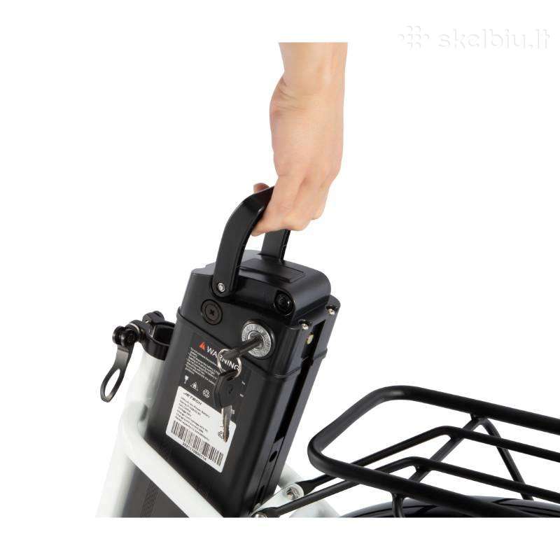 Electric bike Dyu
