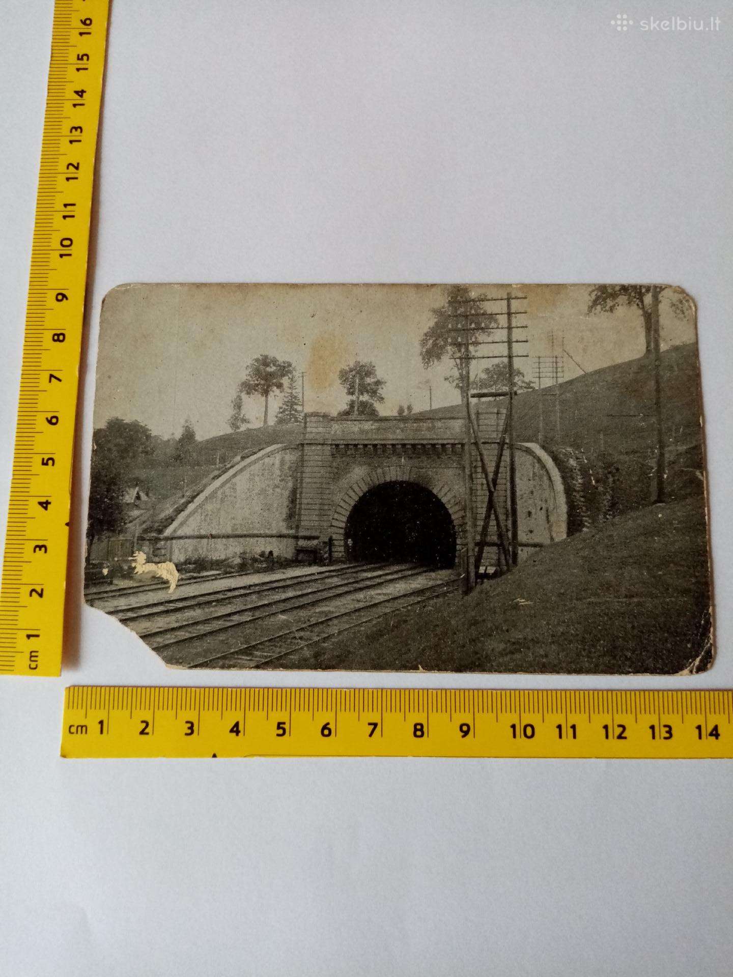 Lietuvos Prieskario Foto - Atvirukas. .Zr. Foto.