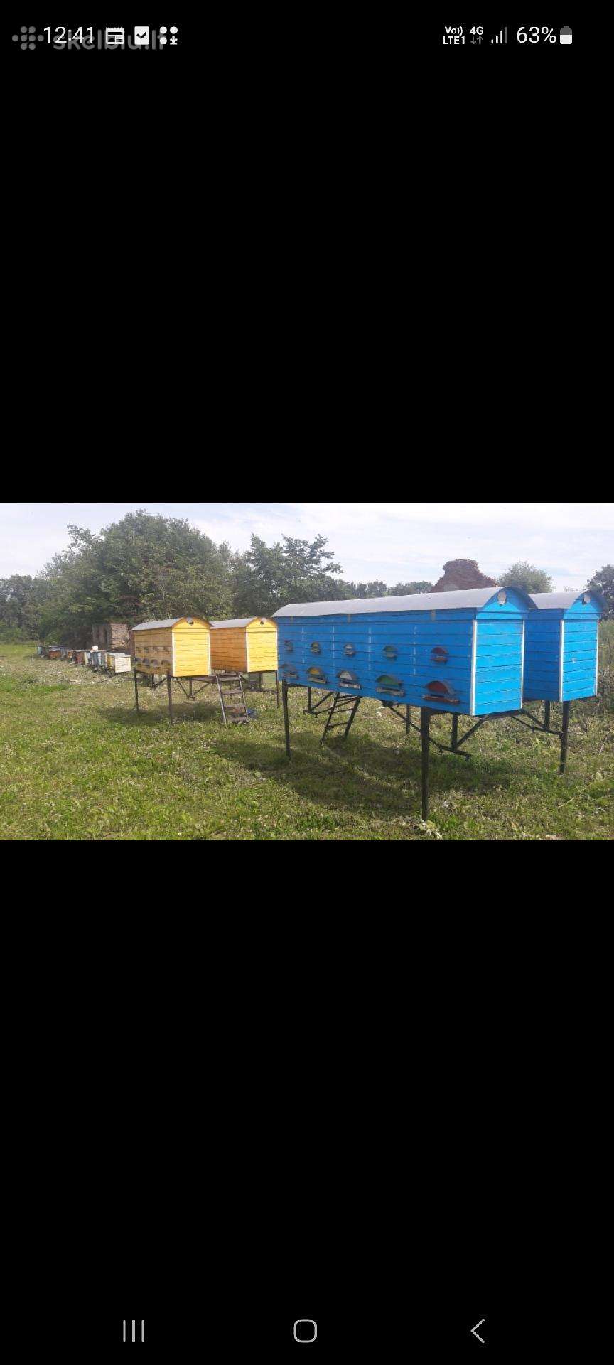 Bitidės,rėmeliai,vaškuolės,vaškas,kaltai.