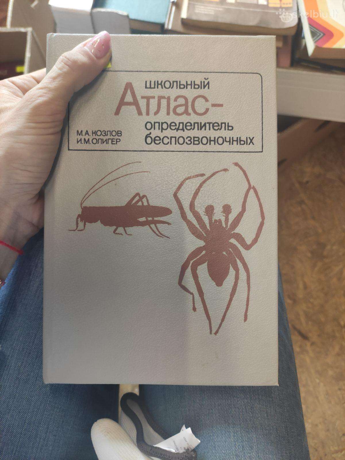 Bestuburiai