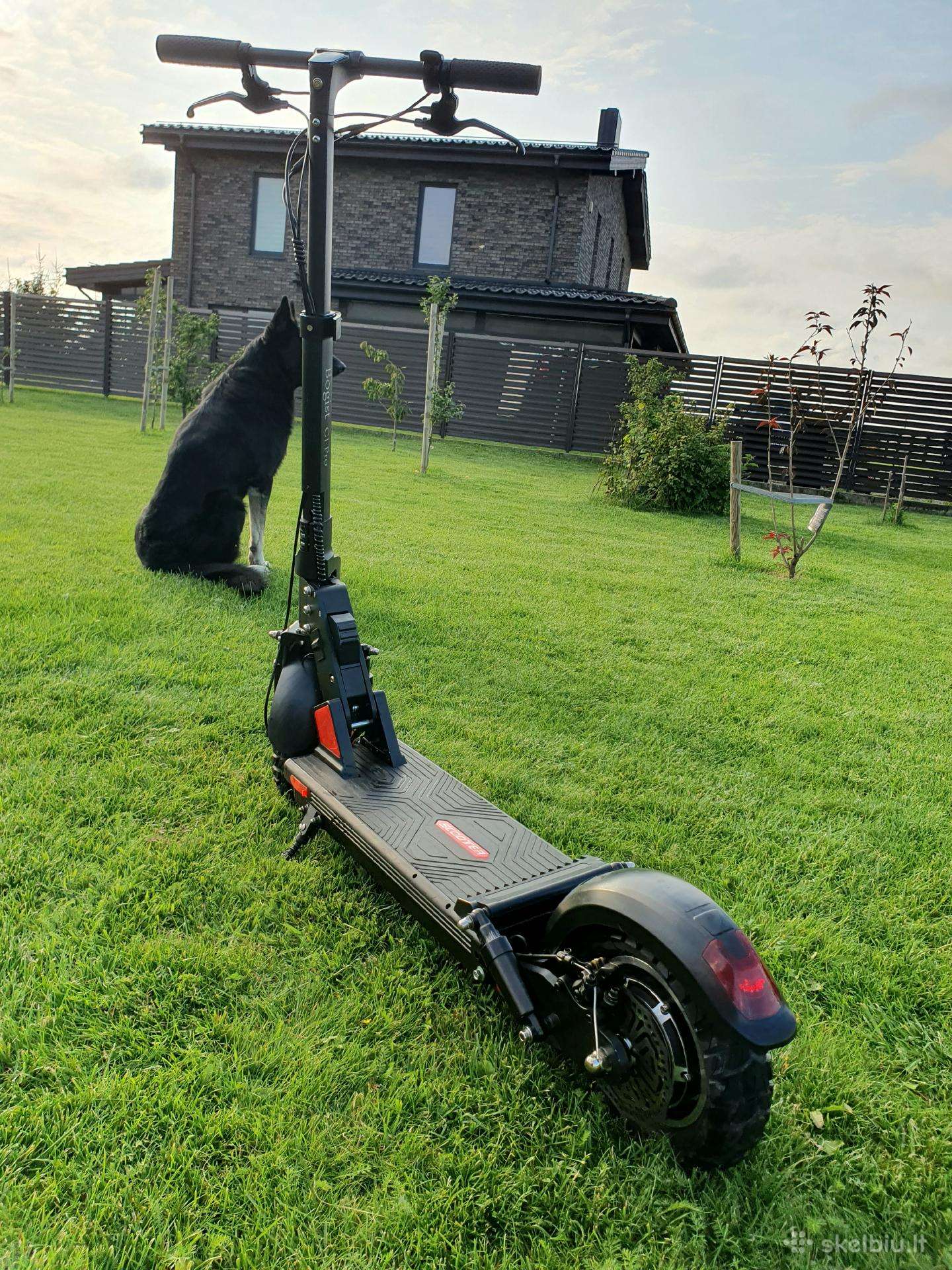 Electric scooter Bogist