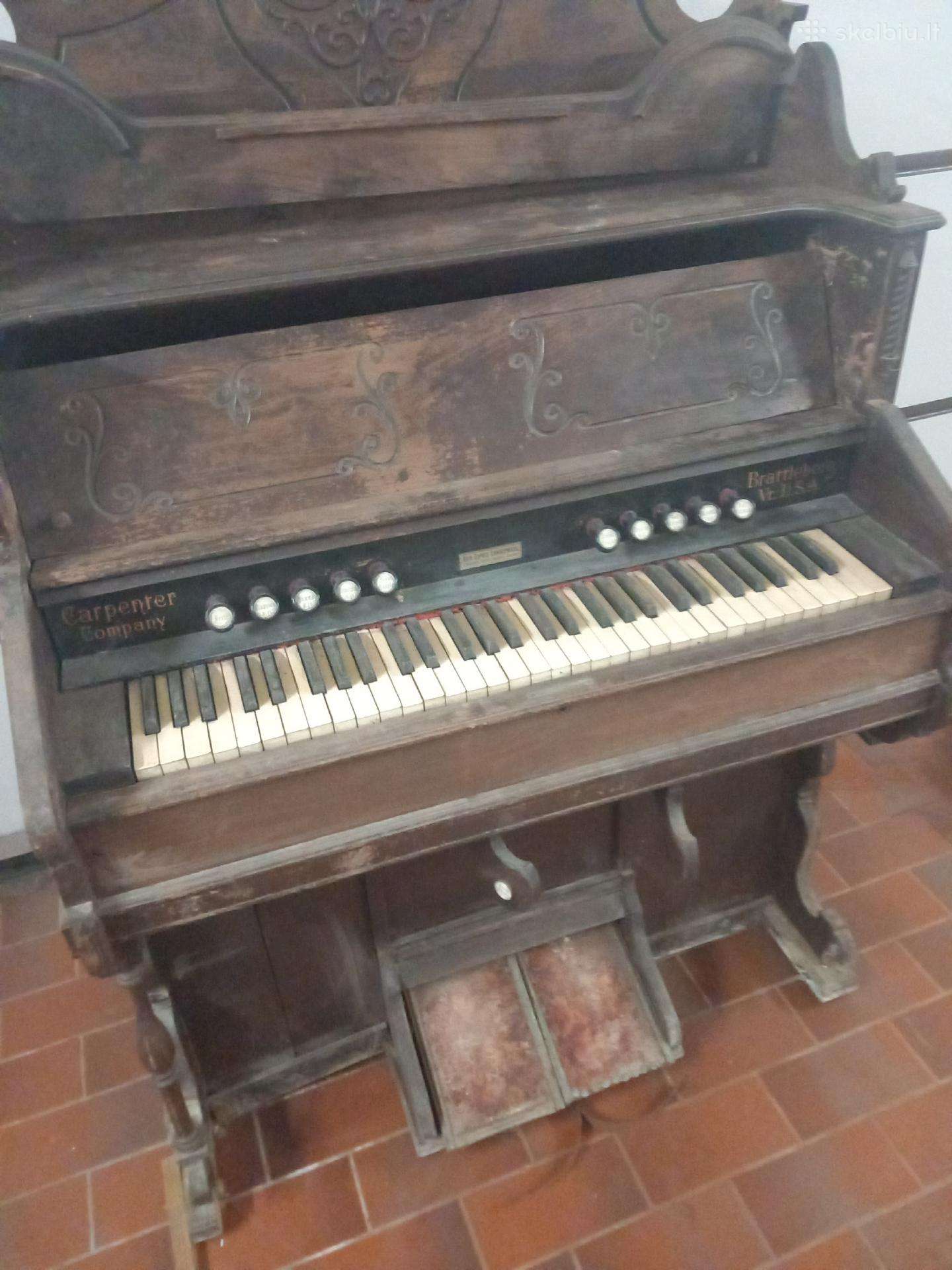 Unikalius1902 metų dumplinius vargonus