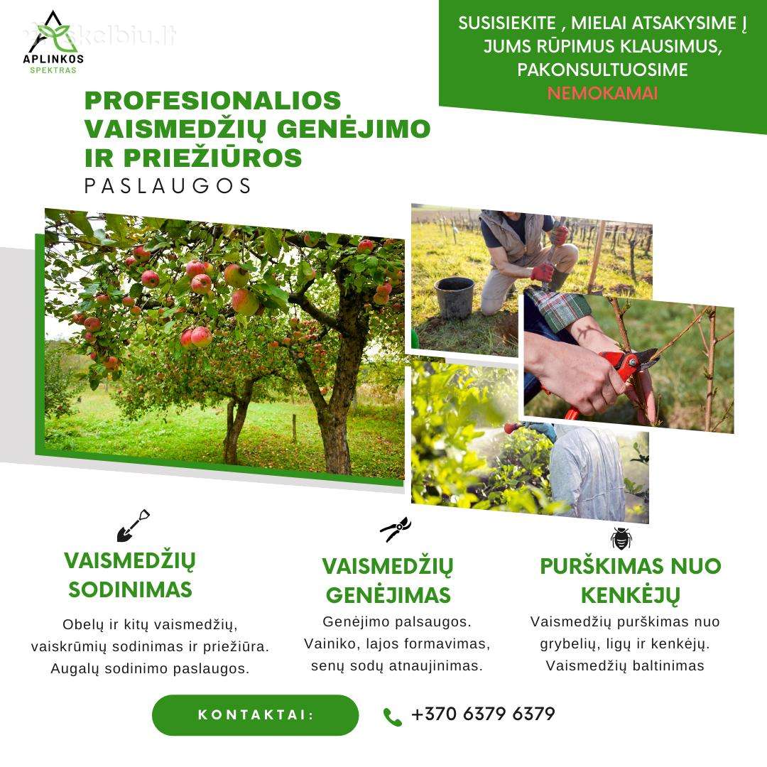 Vaismedziu genejimas, aplinkos tvarkymas