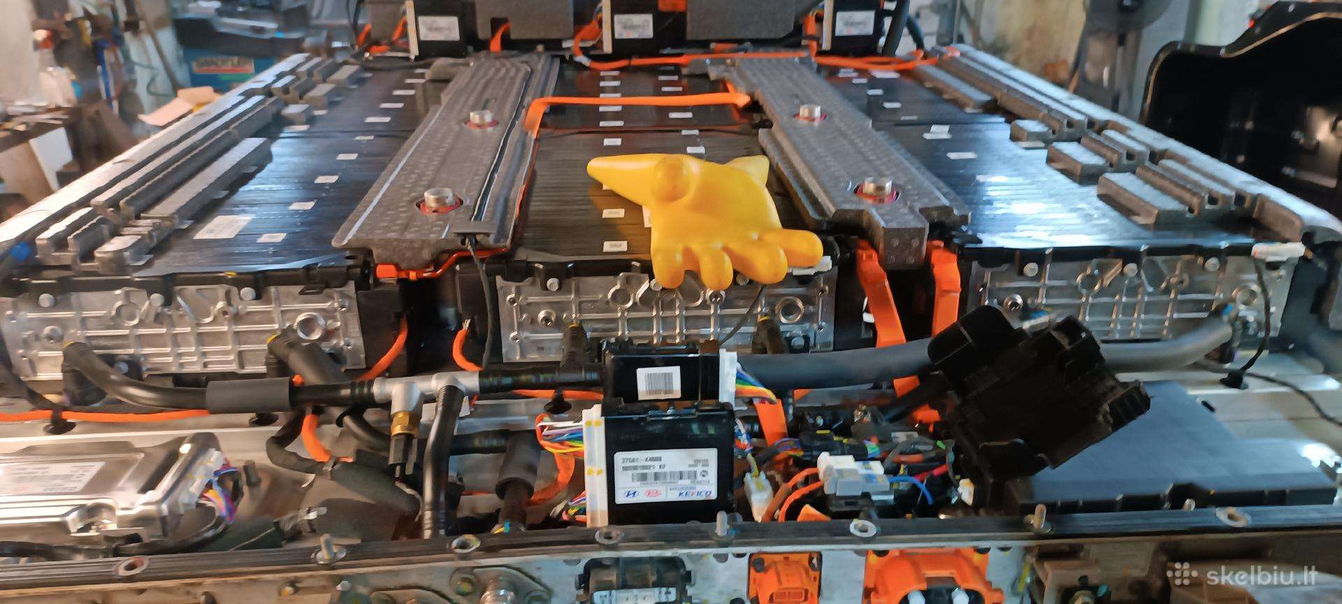 Autoelektrikas.