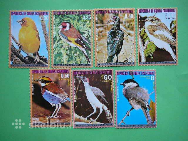 Pauksciai Ekv. Gvineja 1976 Mnh ekv989s