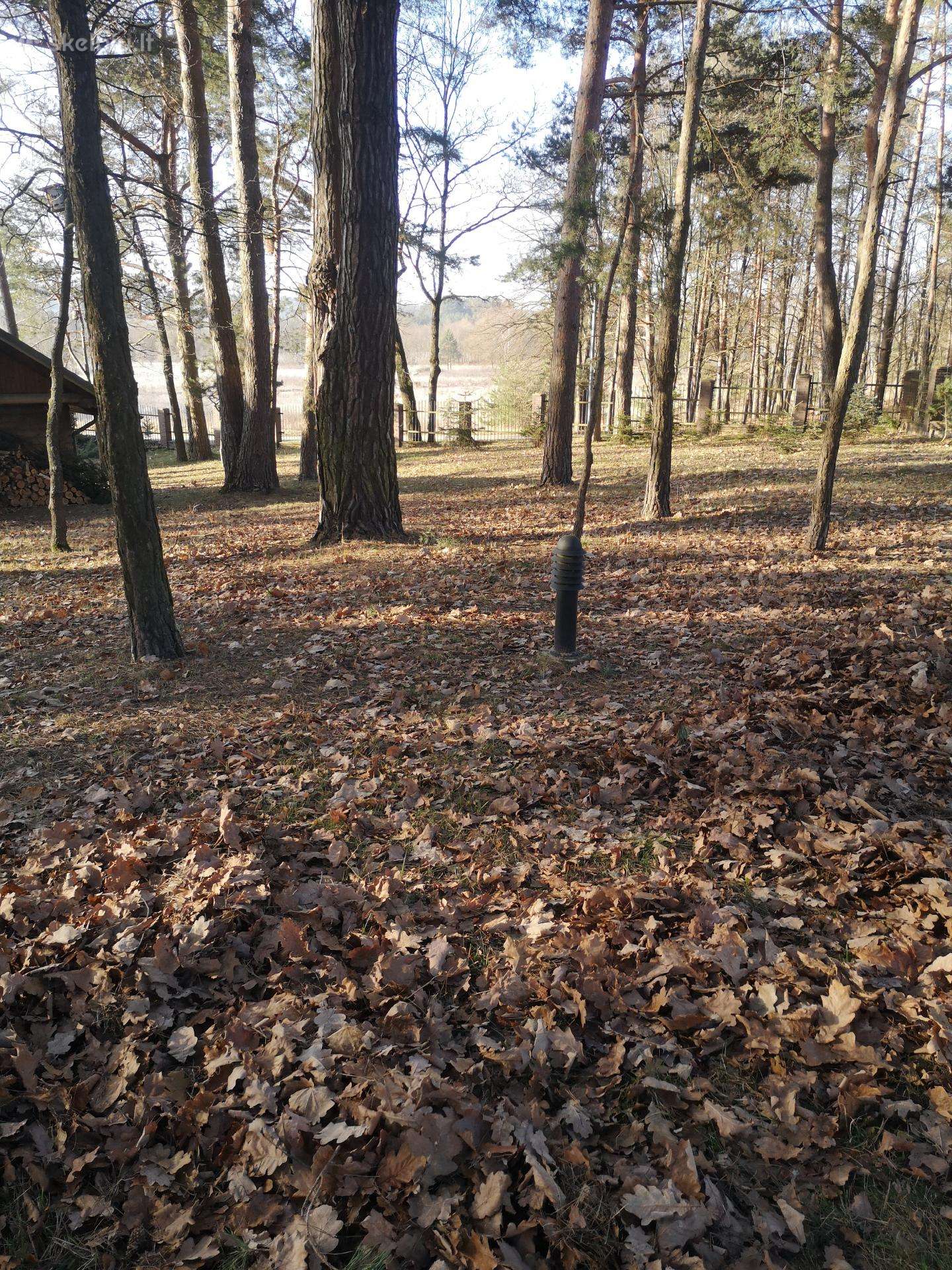 Perkraustymo paslaugos, šiukšlių išvežimas 247