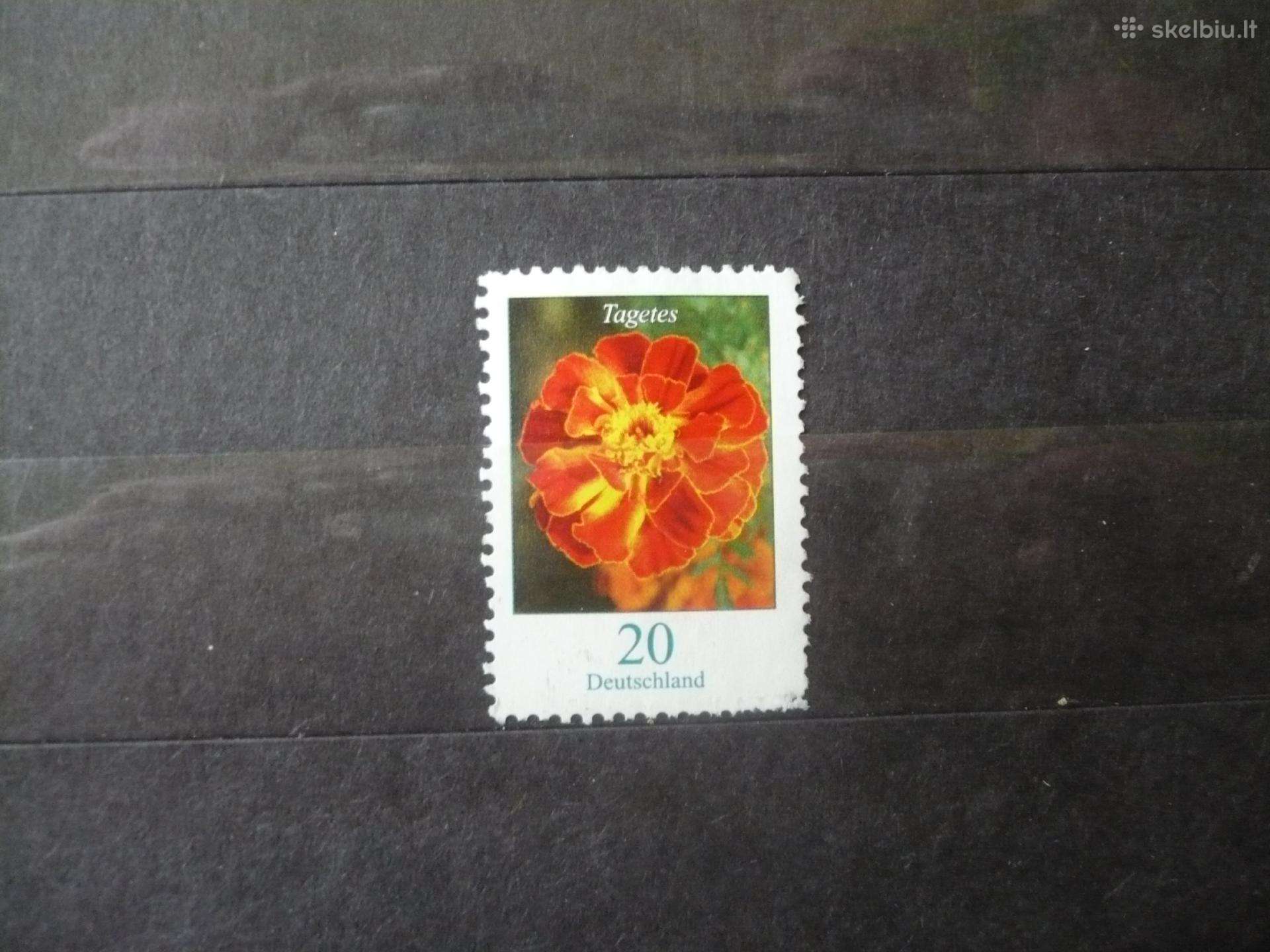2005 m. galutinis klausimas – gėlės Mhn