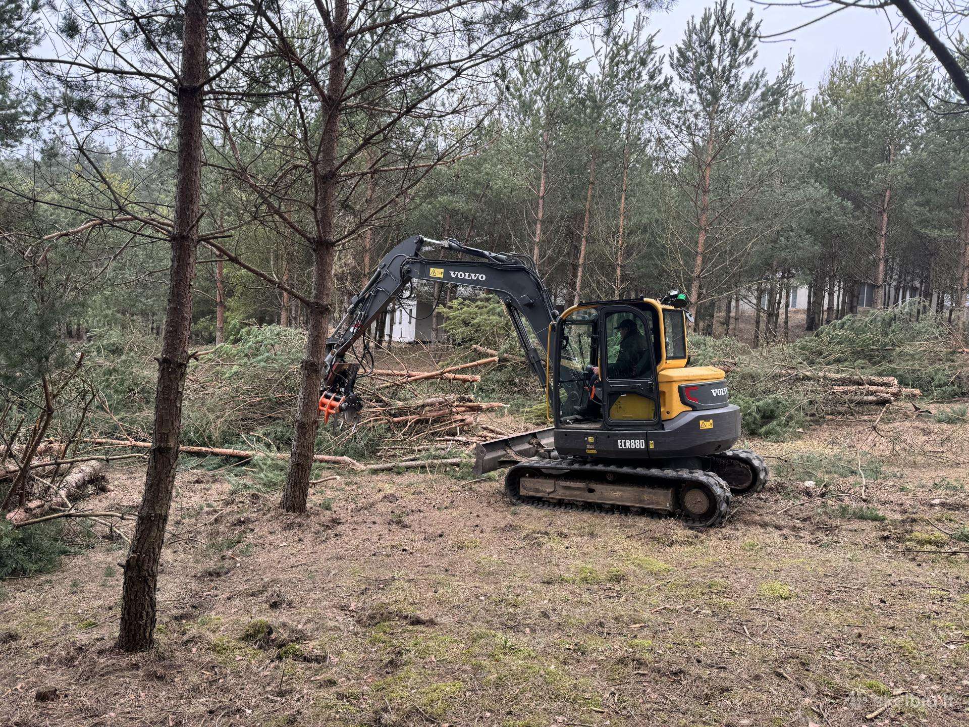 Apleistų sklypų tvarkymas,brangiai perkame biokurą