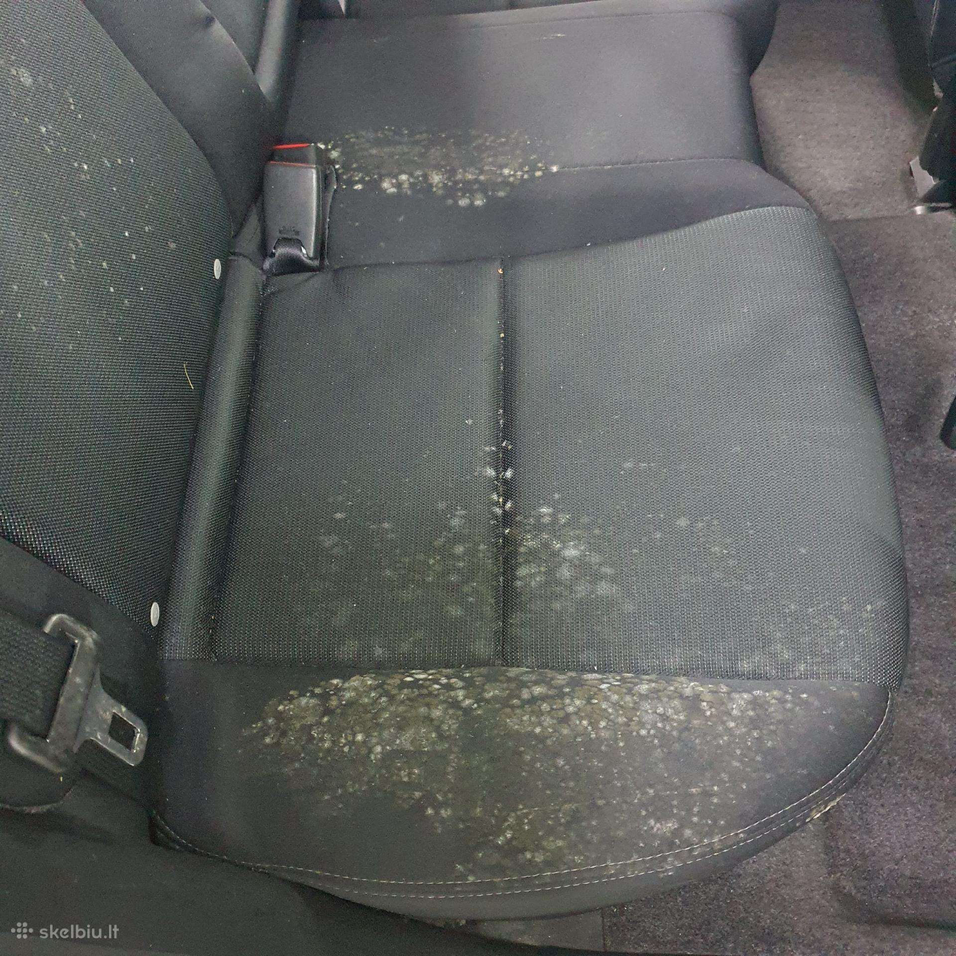 Automobilio cheminis valymas, odos dažymas