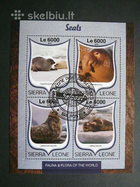 Ruoniai Sierra Leone 2016 antsp. sl111