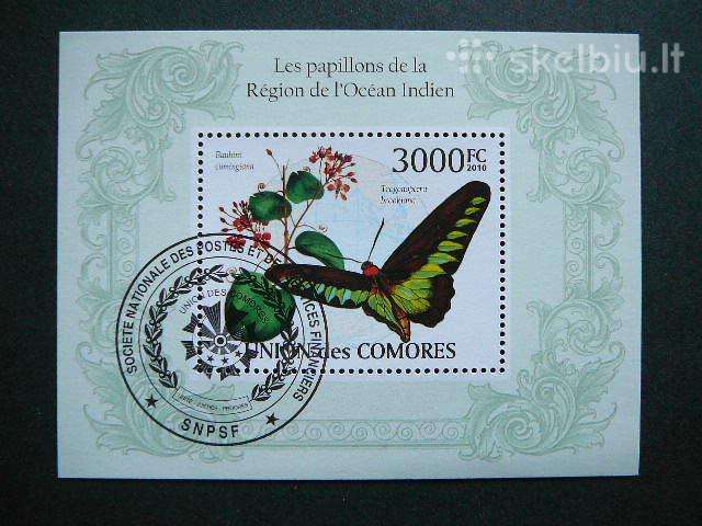 Drugeliai Komorai 2010 antsp. cmr536