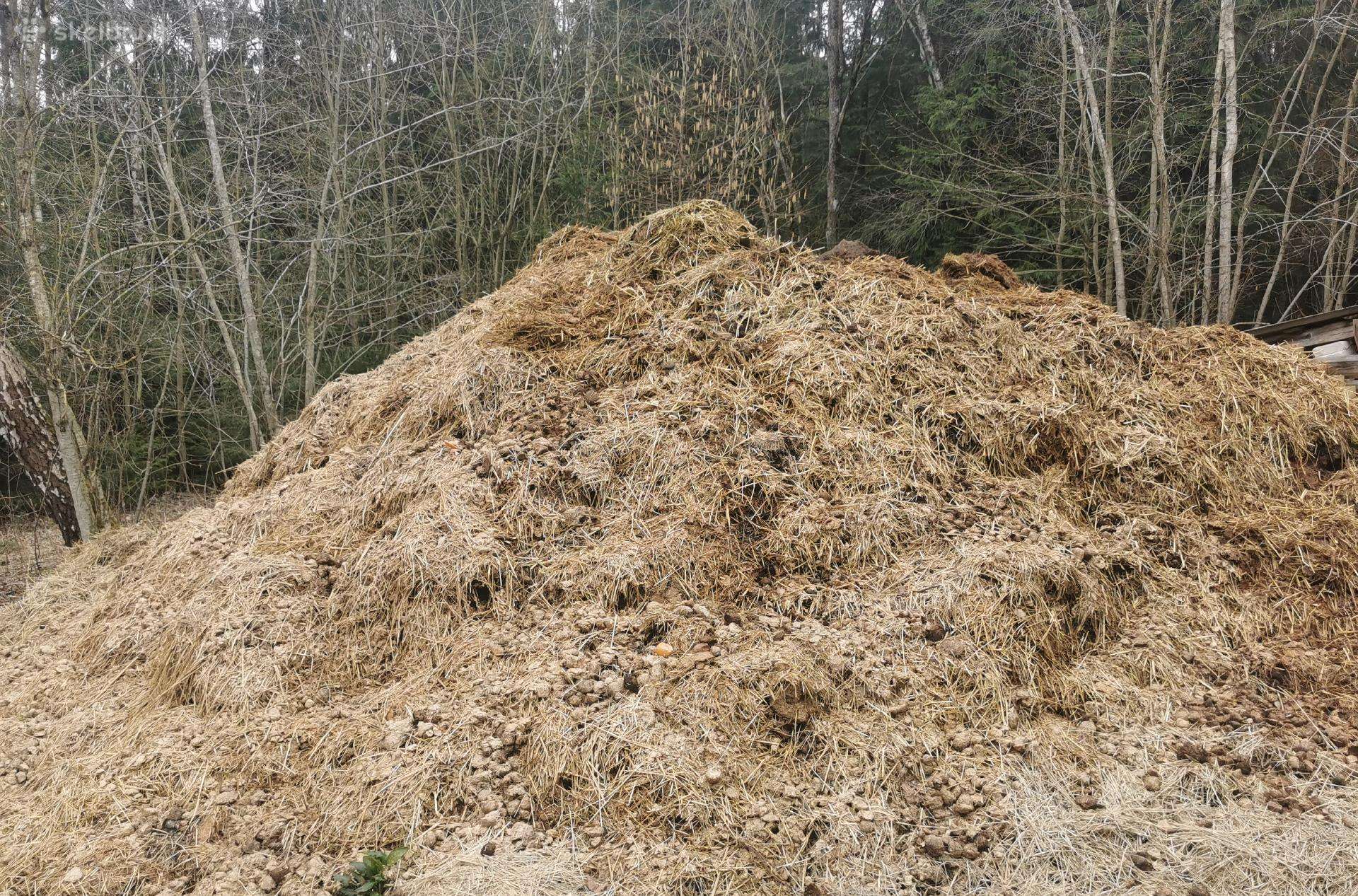 Dovanoju arklio mėšlą