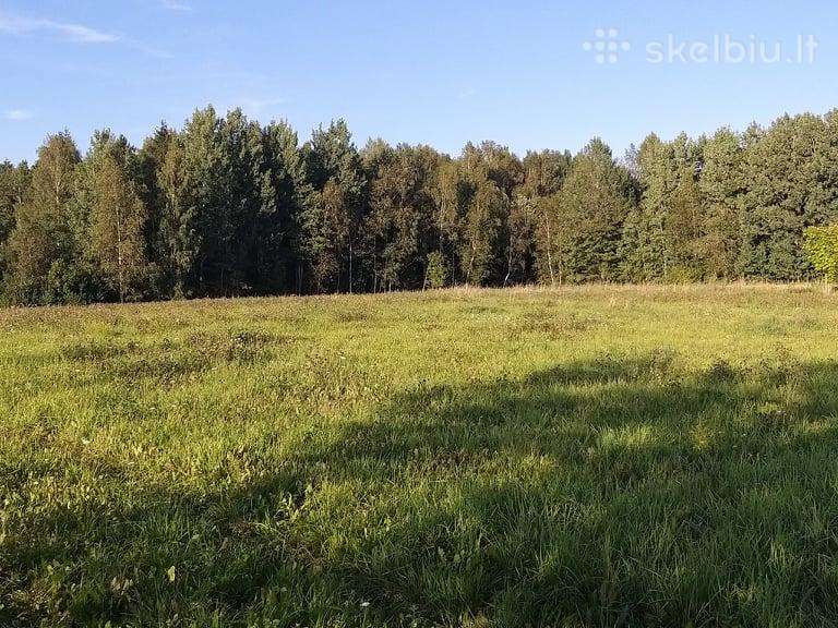 Parduodami namų valdos sklypai, sodyba.