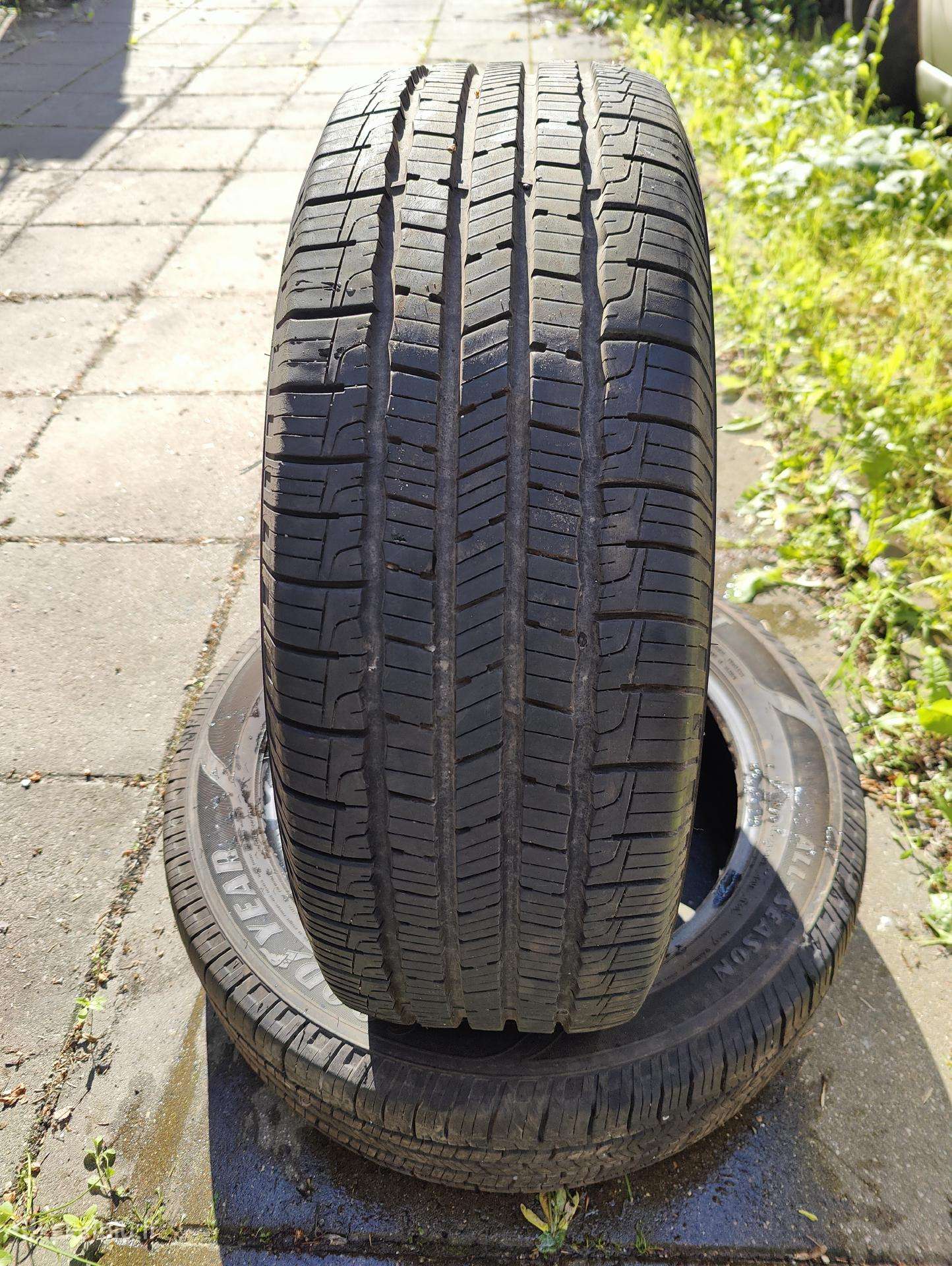 Goodyear, всесезонные 225/55 R19 | A26848621