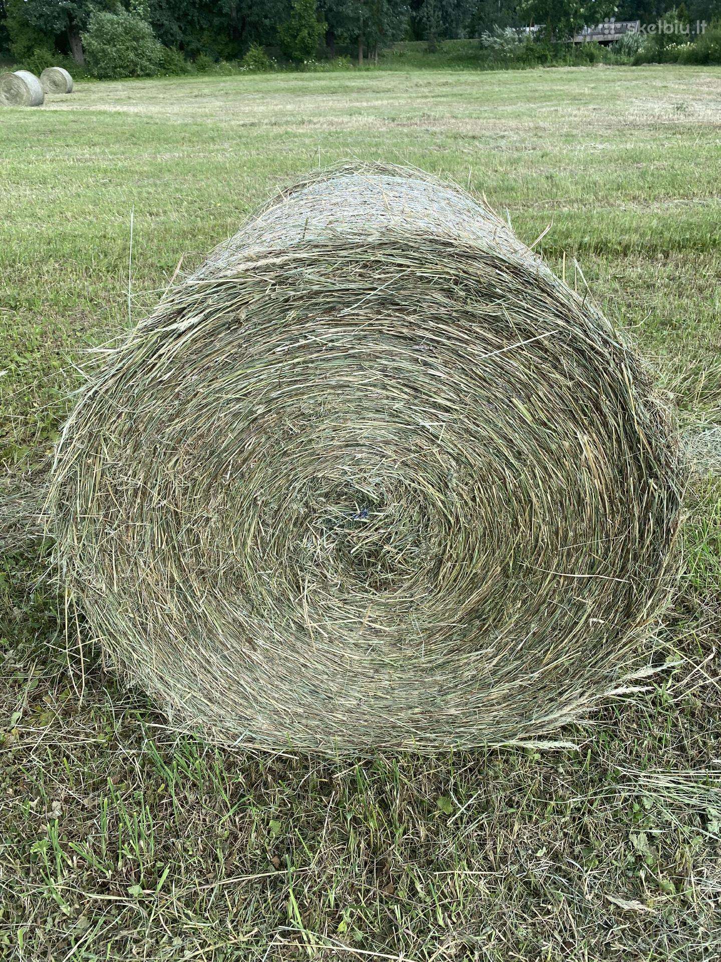 Parduodu šiu metu šiena rulonais. Atvežu.