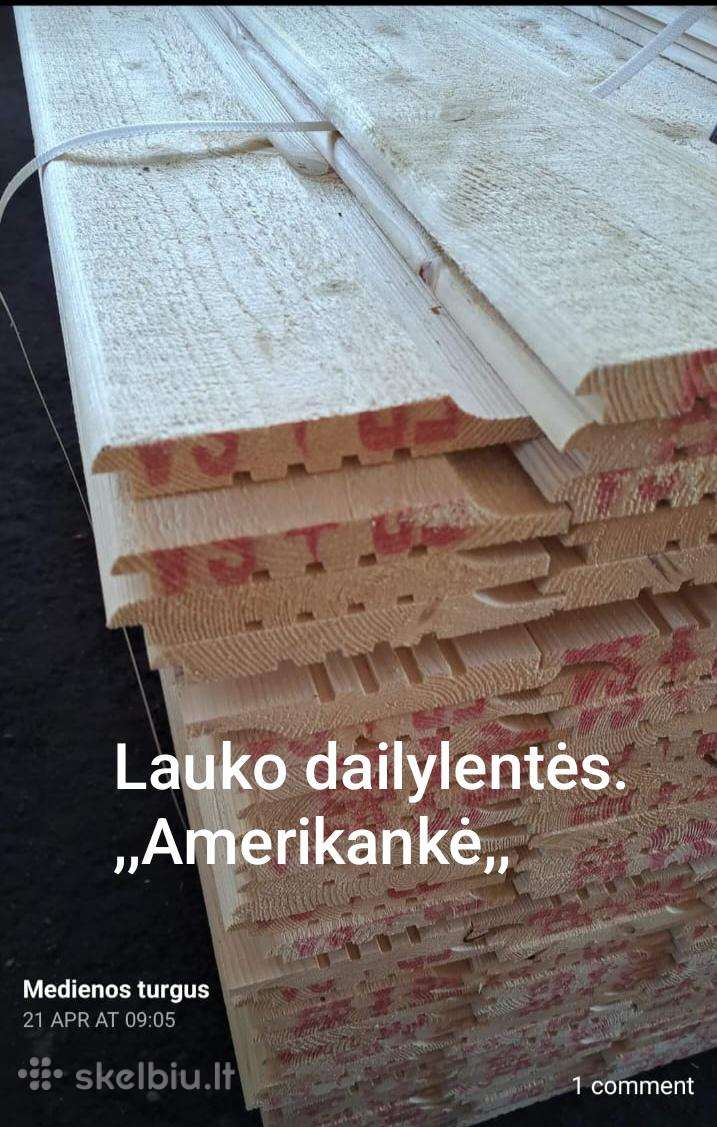 Termo medienoos dailylentės 13