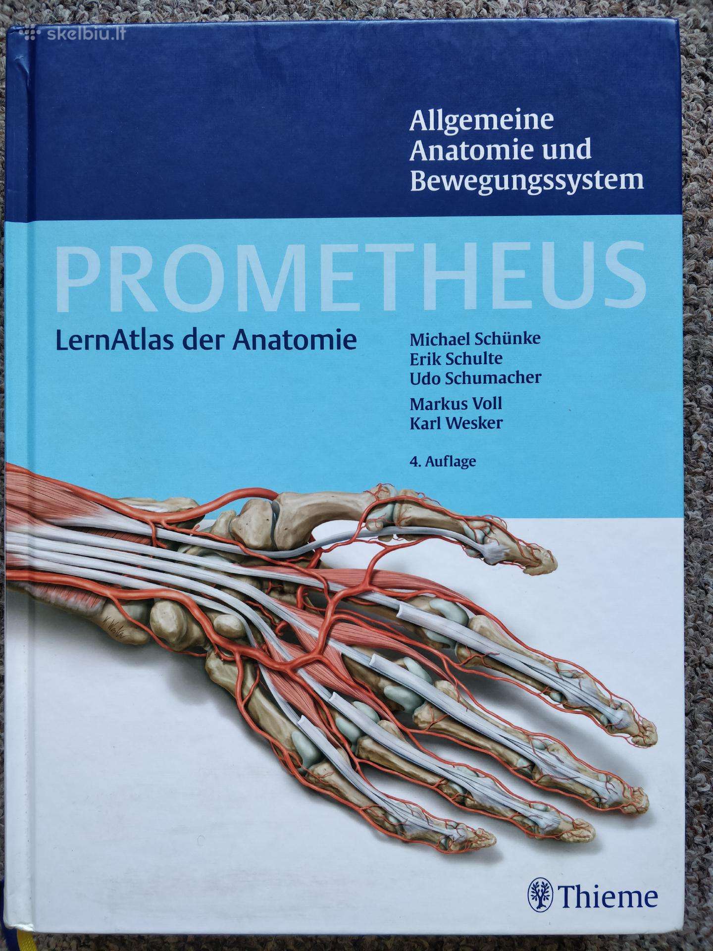 Prometheus Lernatlas der Anatomie