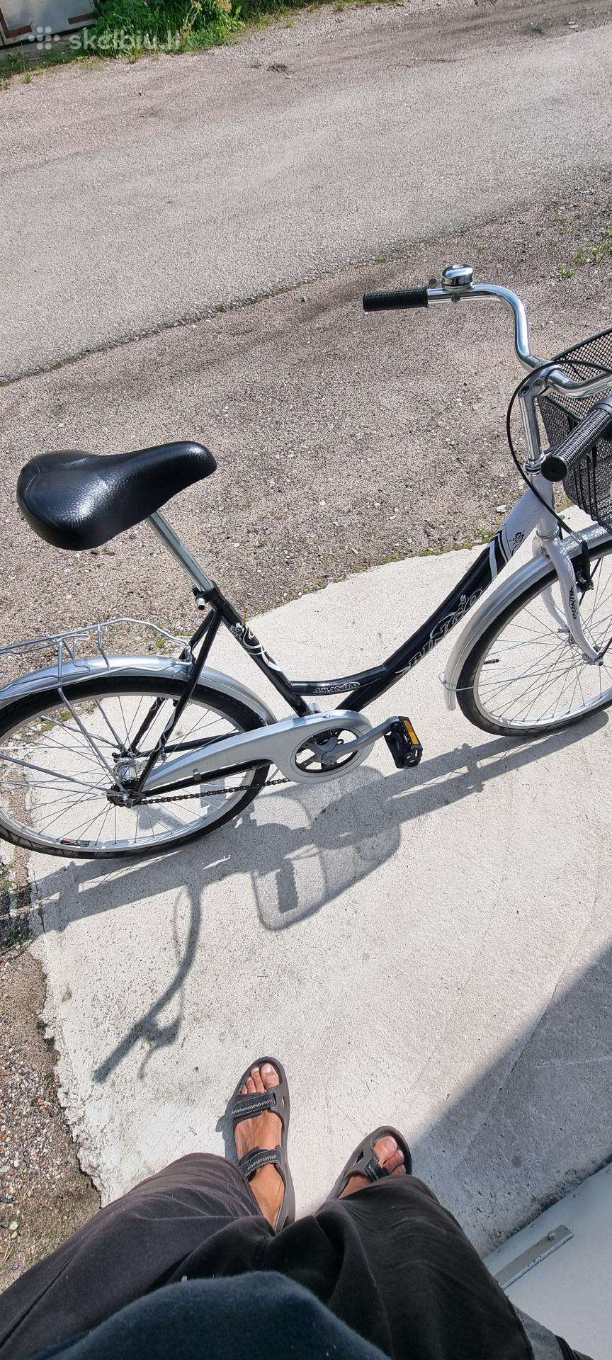 Miesto dviratis Alpina 28″