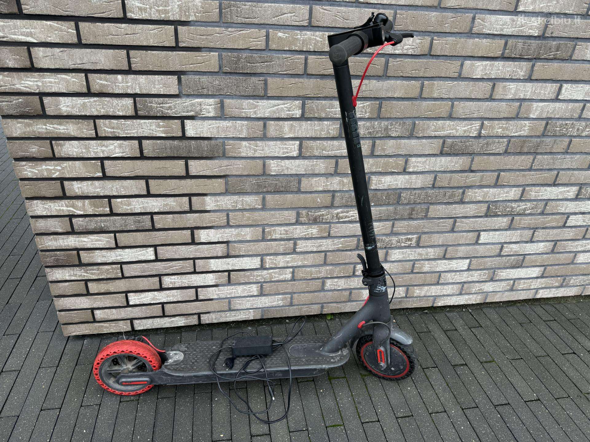 For adults scooter Xiaomi A26689335