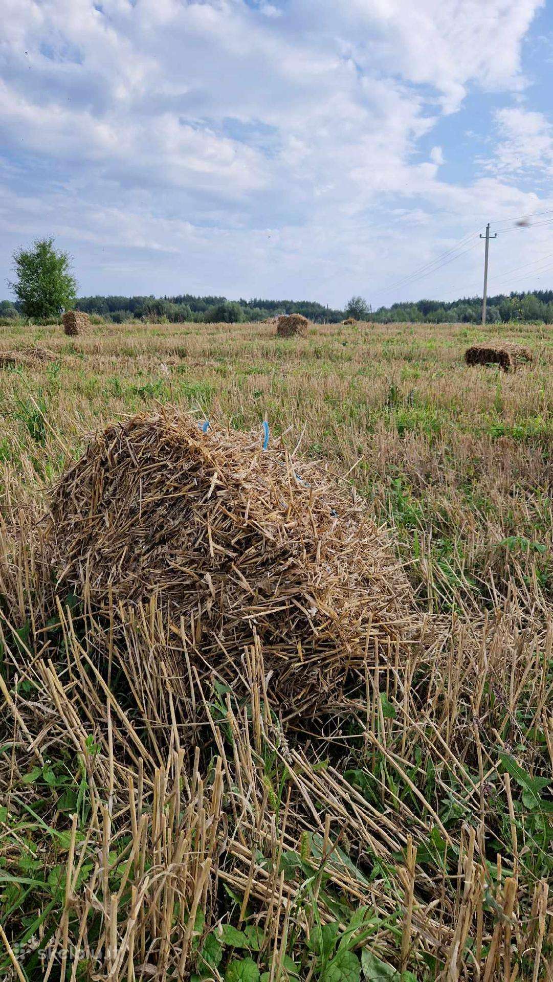 Šiaudų ir Šieno kitkos