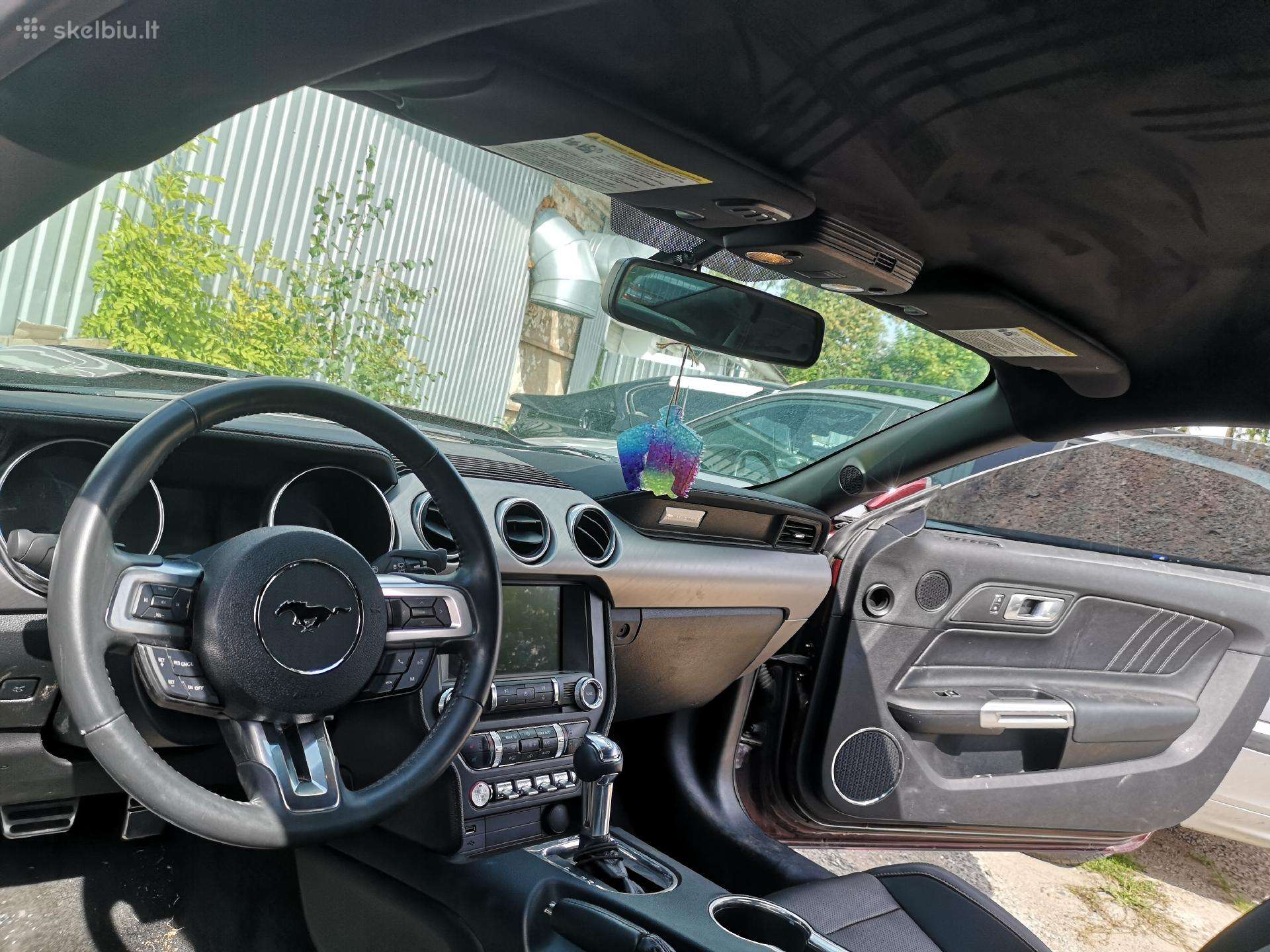 Automobilio salono darbai