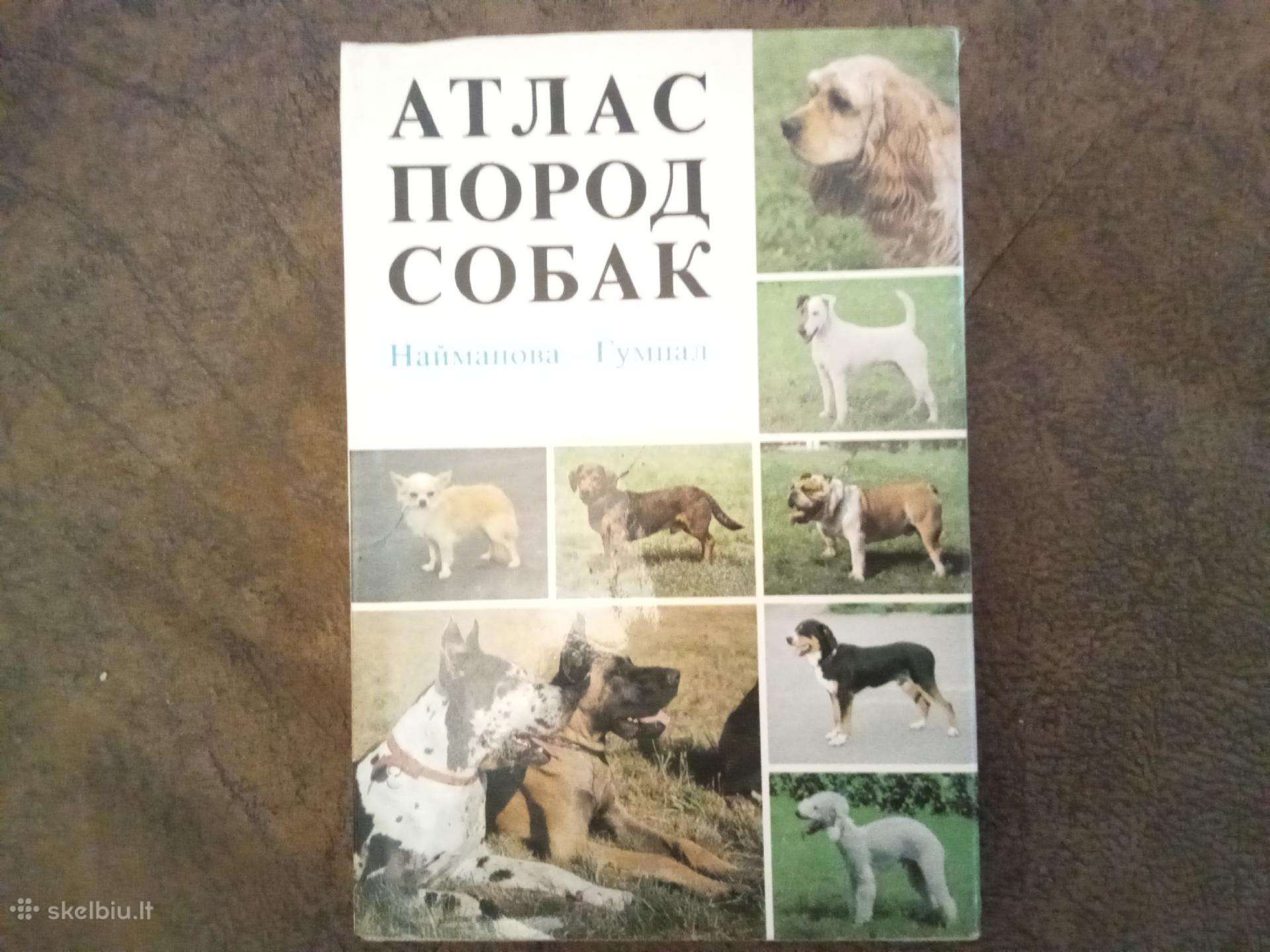 Šunų veislių katalogas rusų kalba