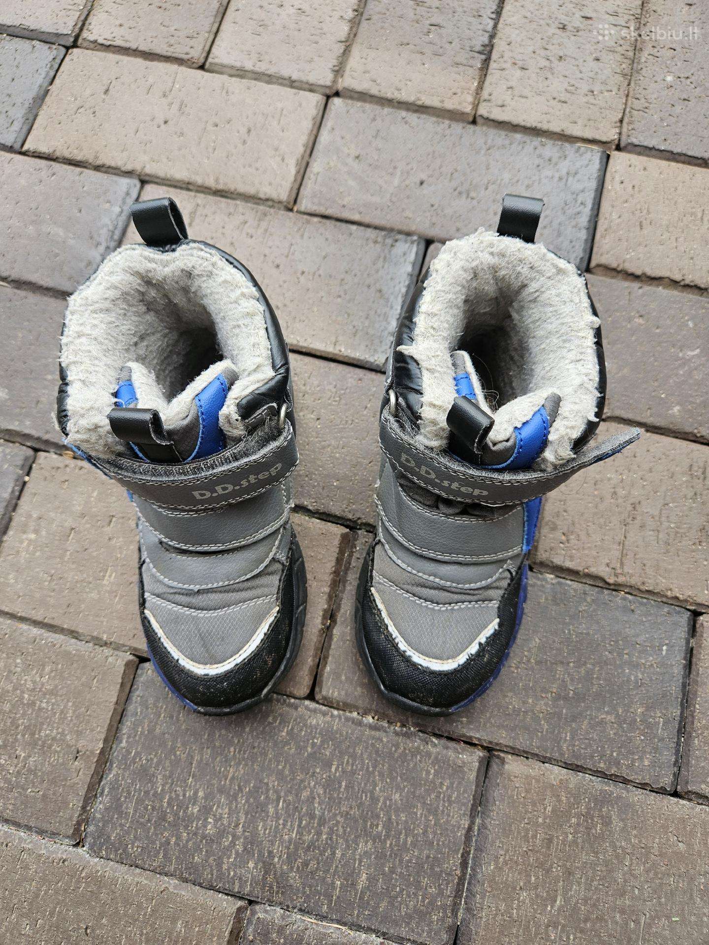 D. D. Step sniego batai