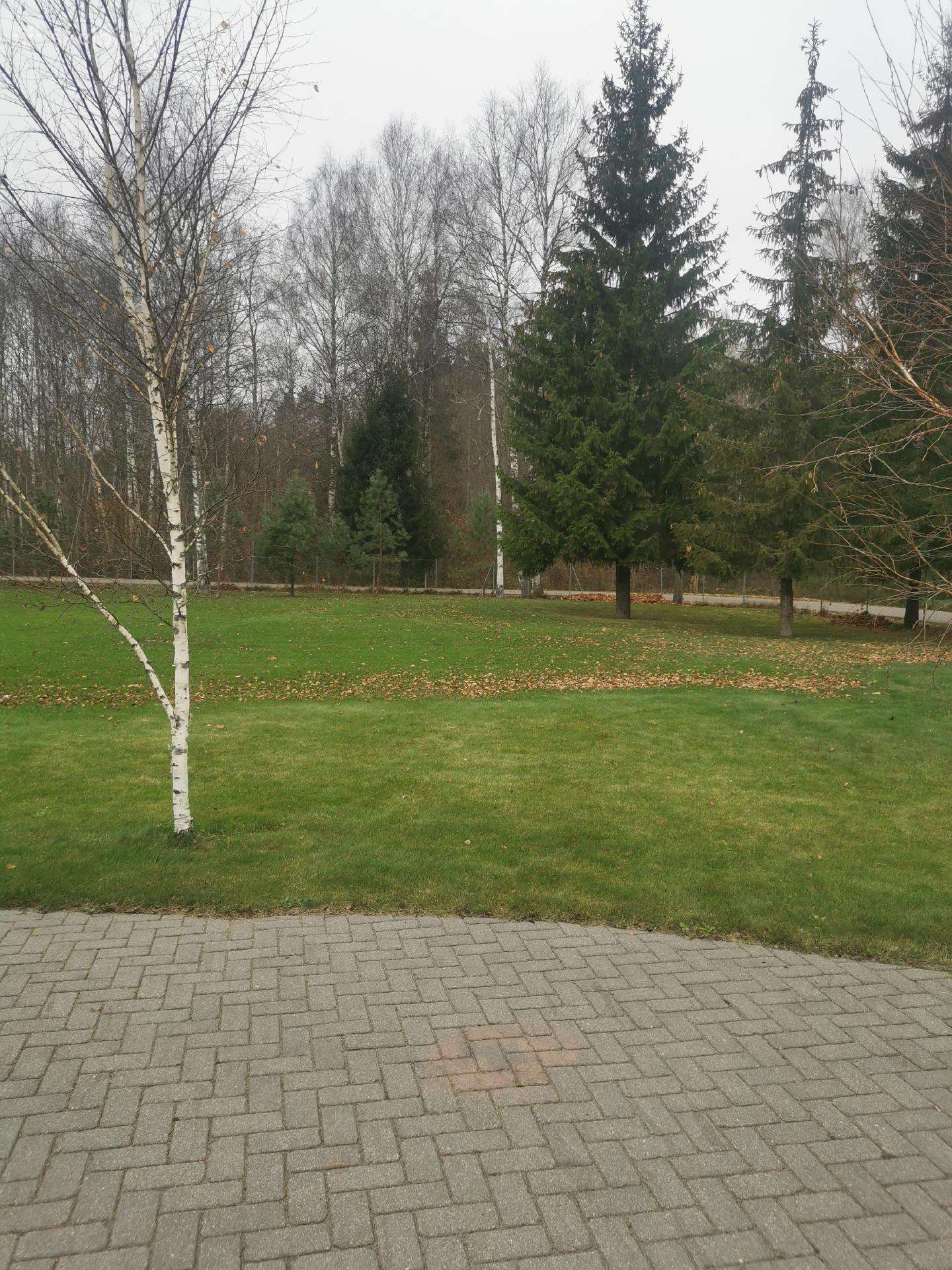 Perkraustymo paslaugos, šiukšlių išvežimas 247