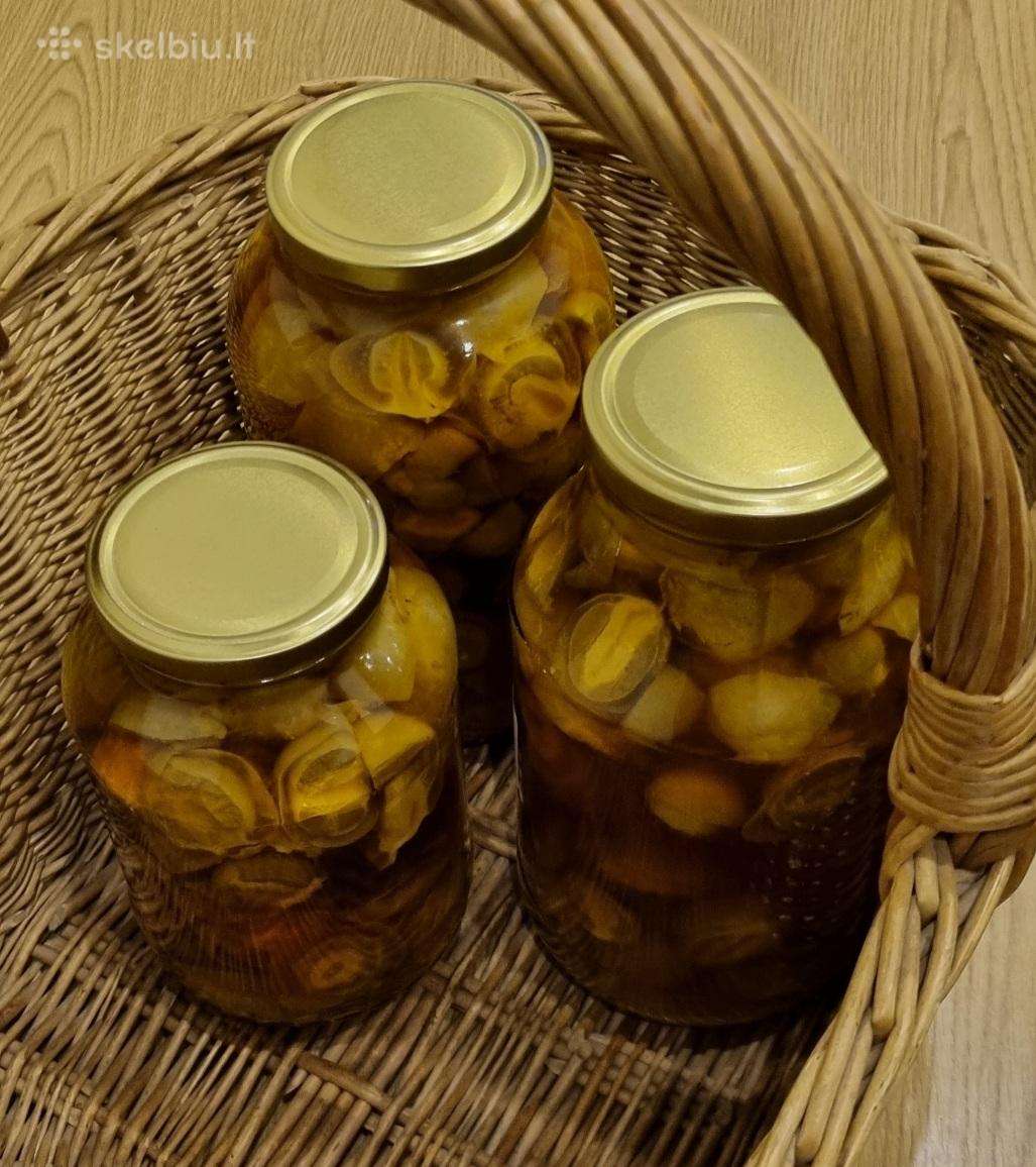 Poniabudės fermentas / žemės taukai / vesiolka