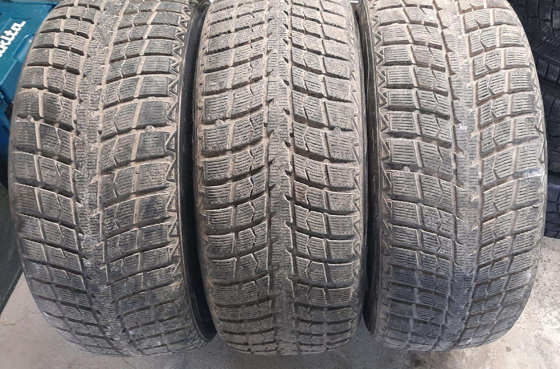 Padangos Leao Winter Defender