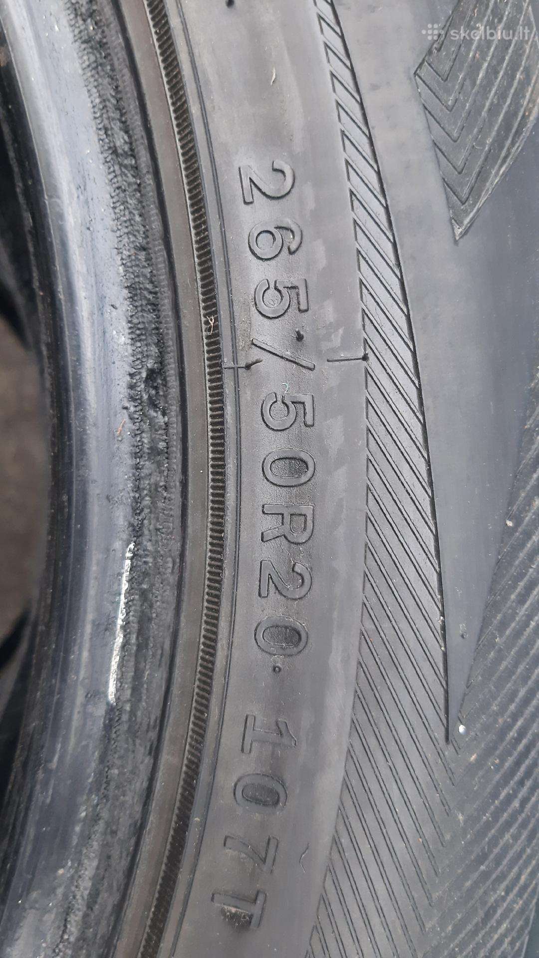 Leao, winter 265/50 R20