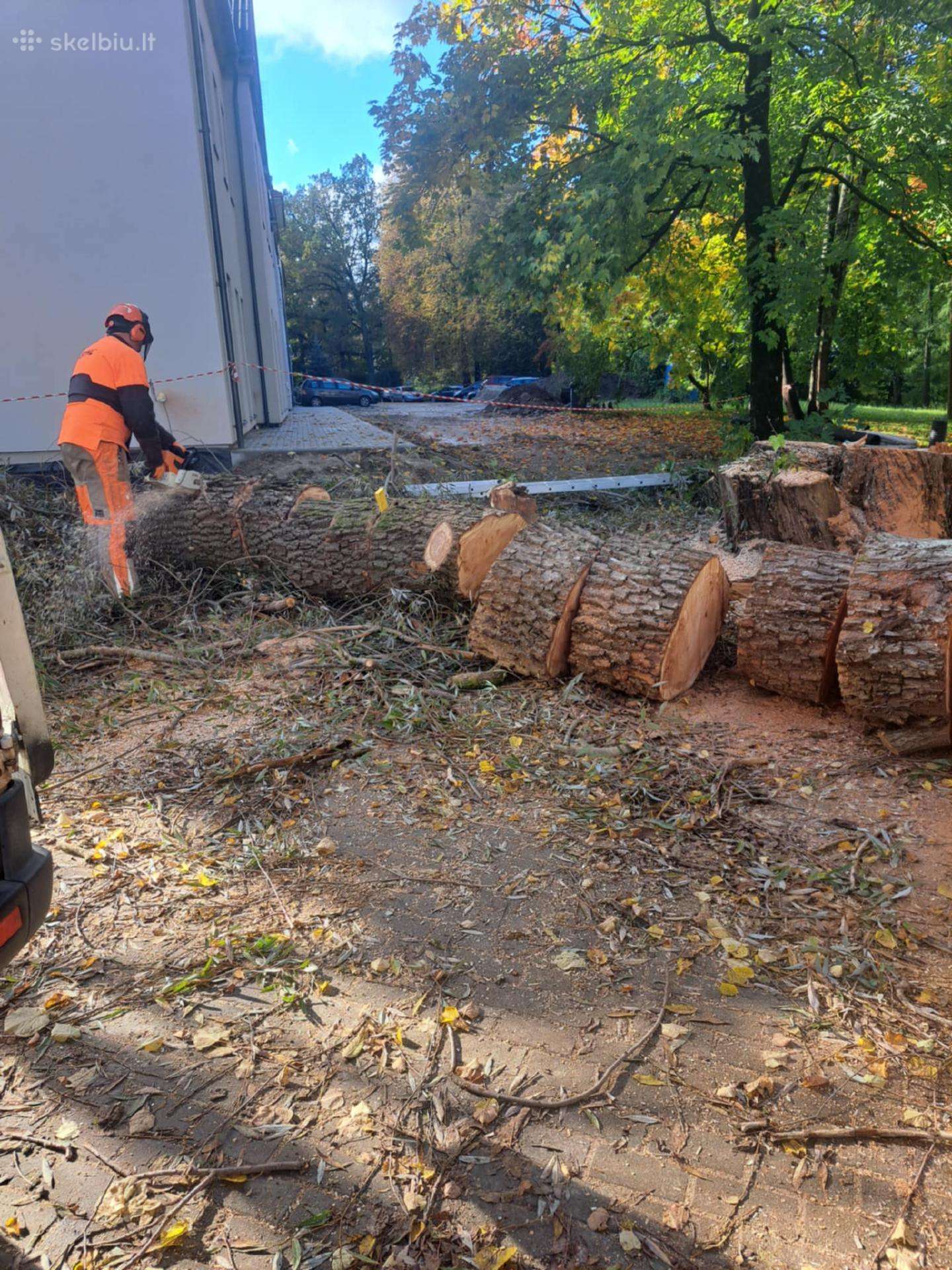 Medžių pjovimas kelmų frezavimas naikinimas