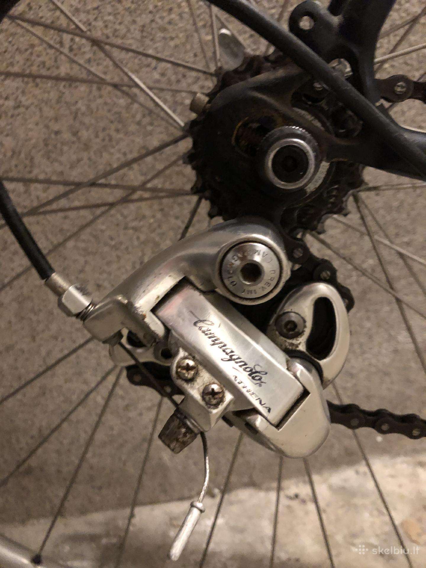 Plento, sportinis dviratis Bianchi