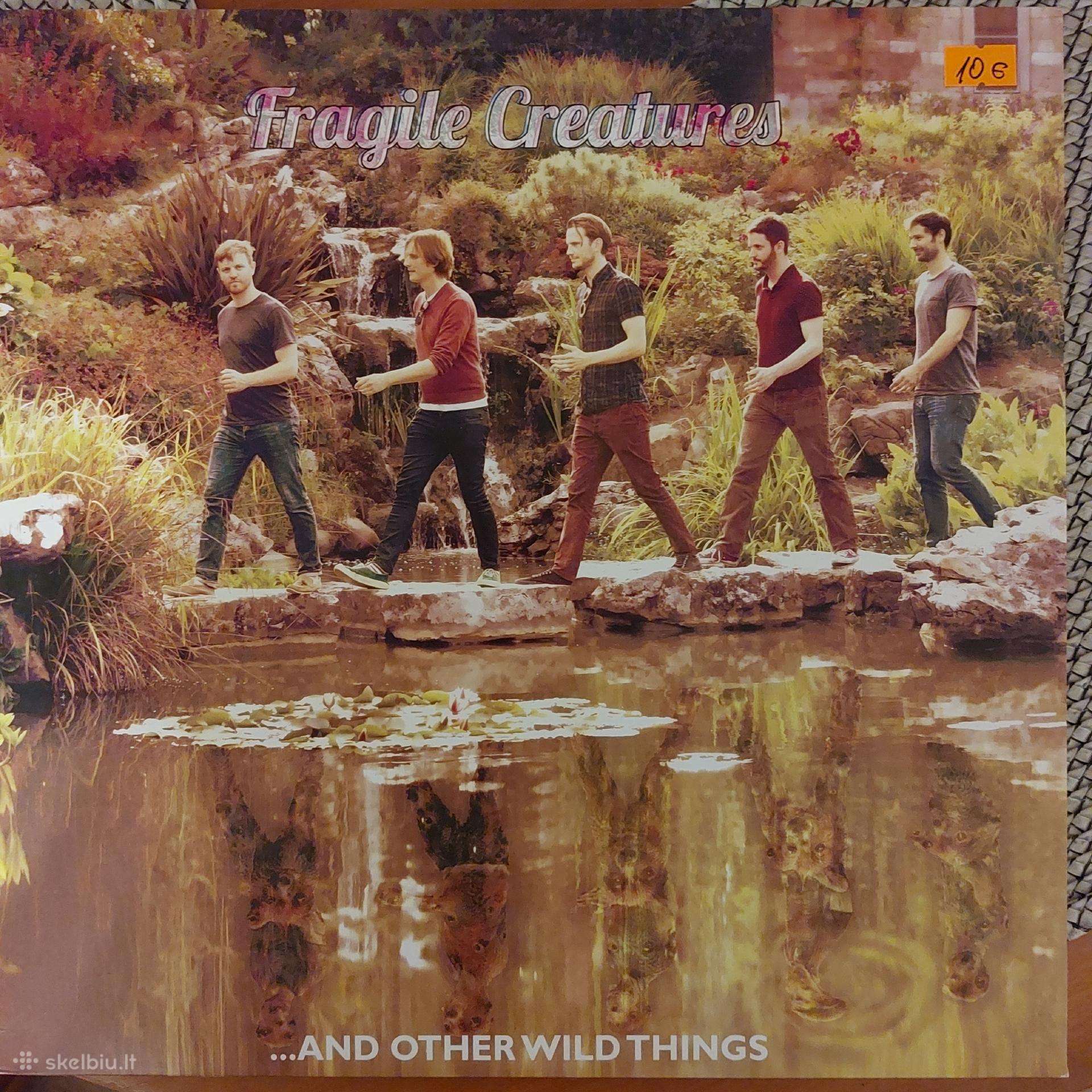 Daug vinilinių plokštelių