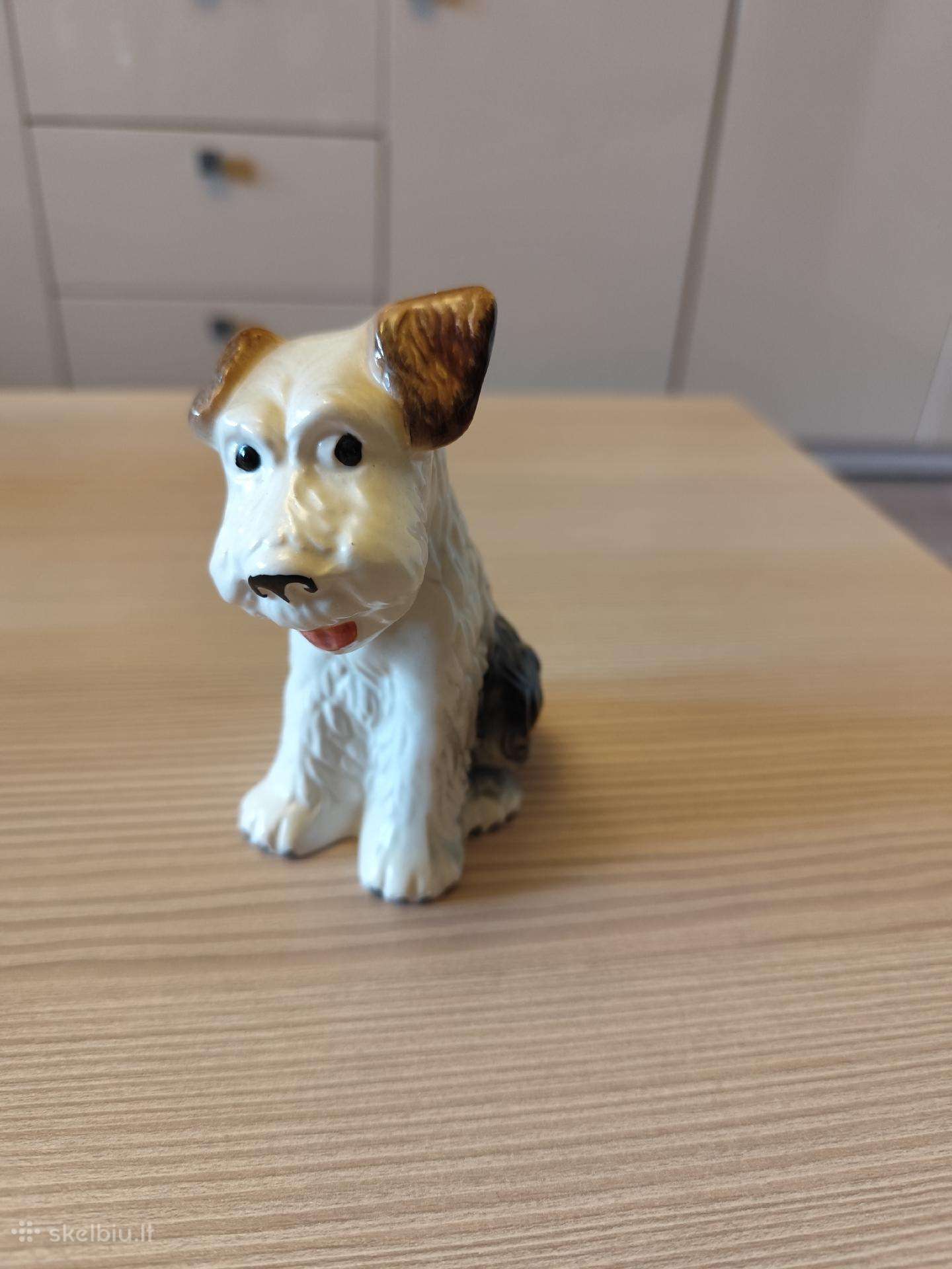 Šuniukas