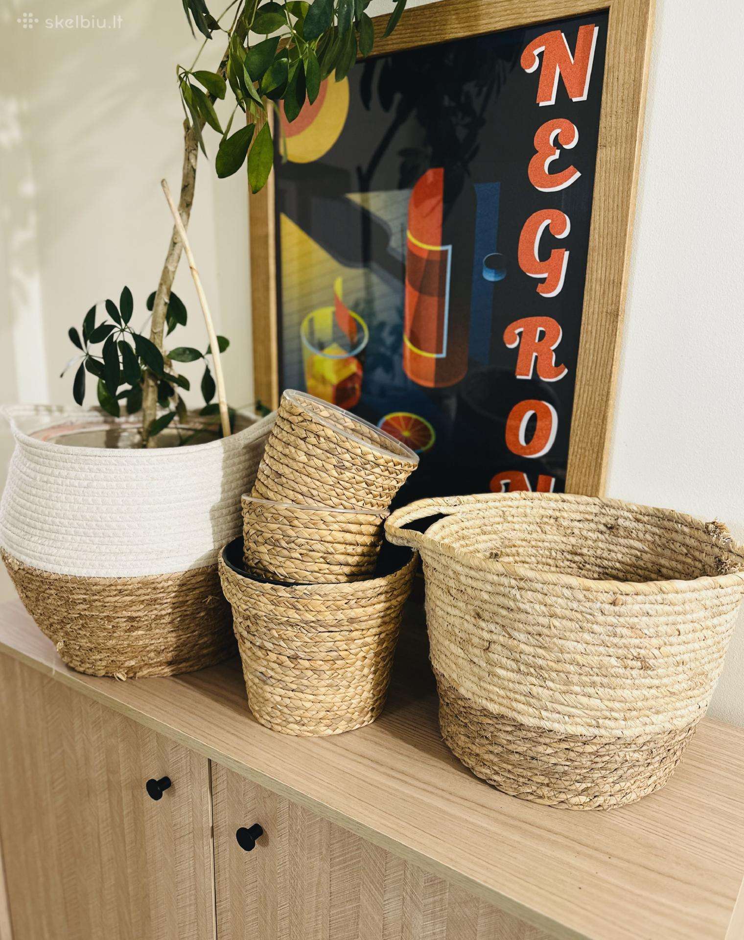 5 pinti vazonai (kaina už visus)