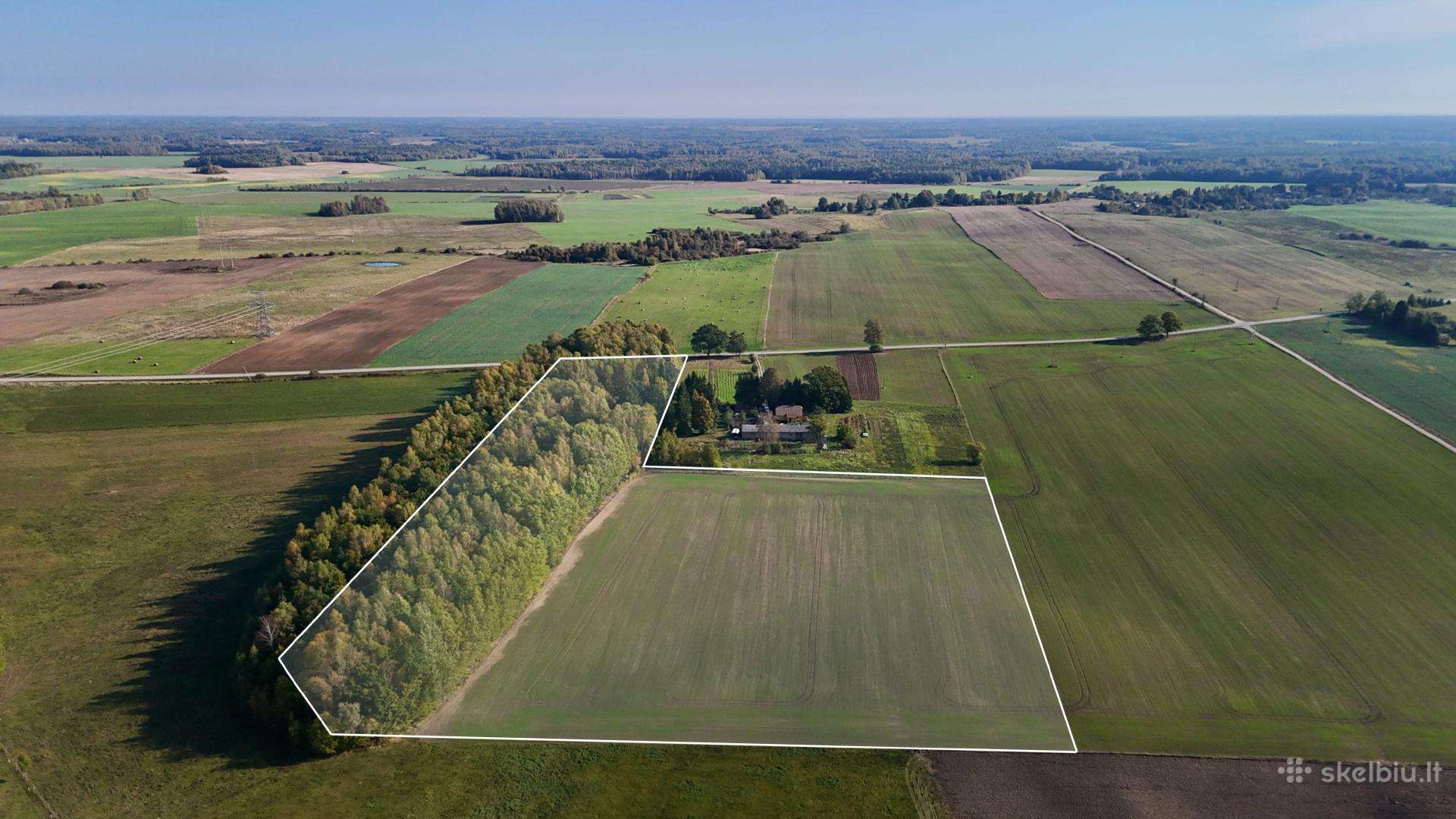 4,8 ha su mišku - sodybai + tik ~69€/a