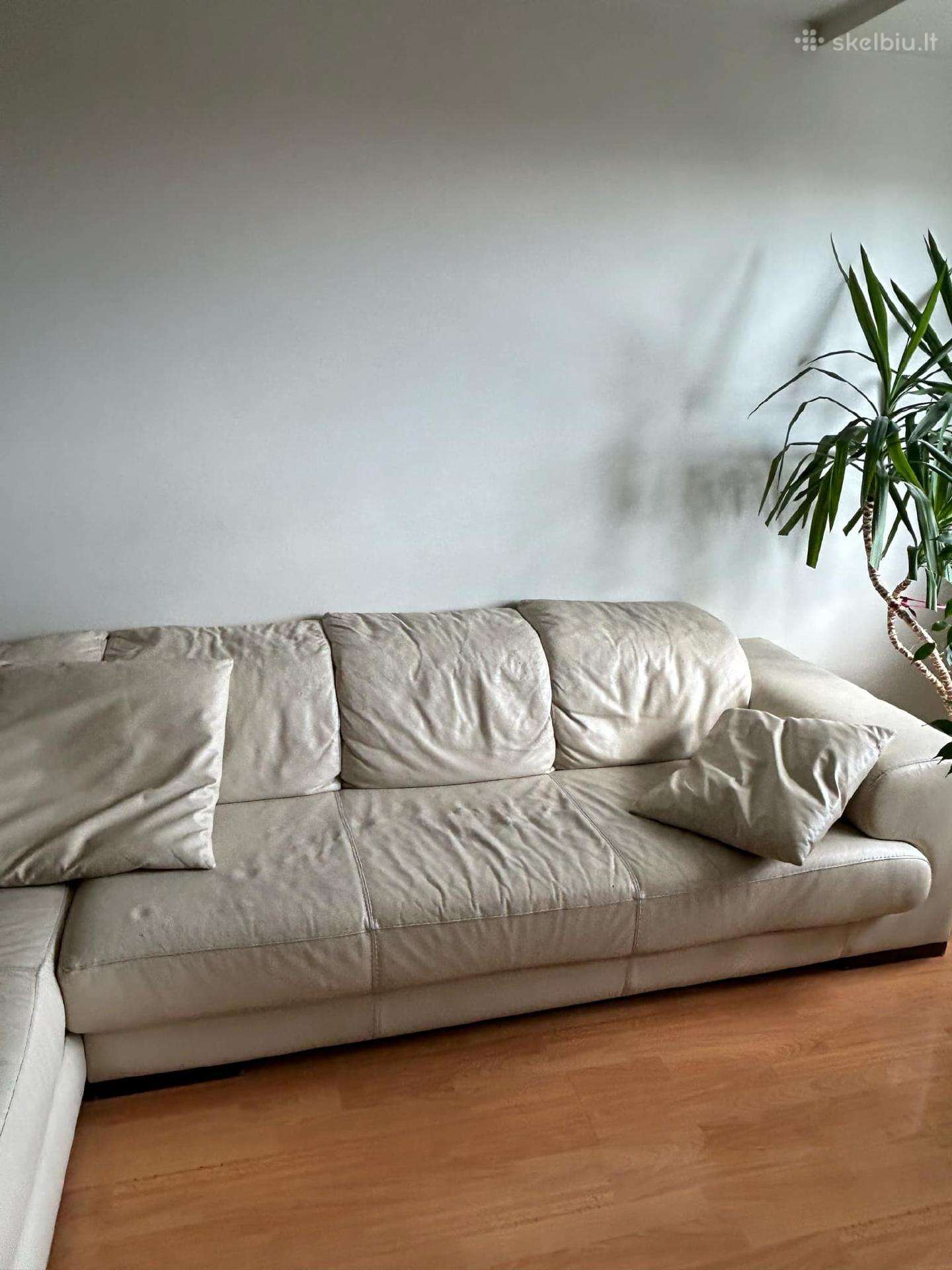 Dovanoju odinė sofa-kampas