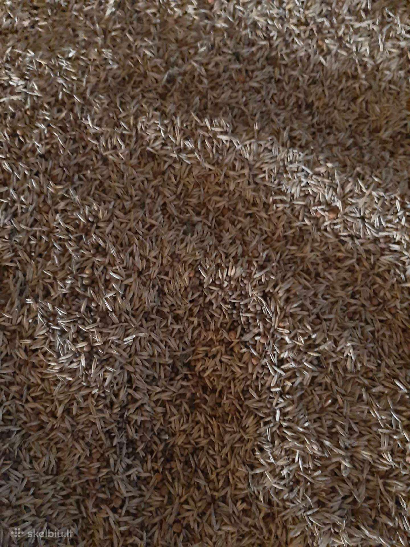 Parduodamas vikių, žirnių, avižų mišinys. 230eur/t