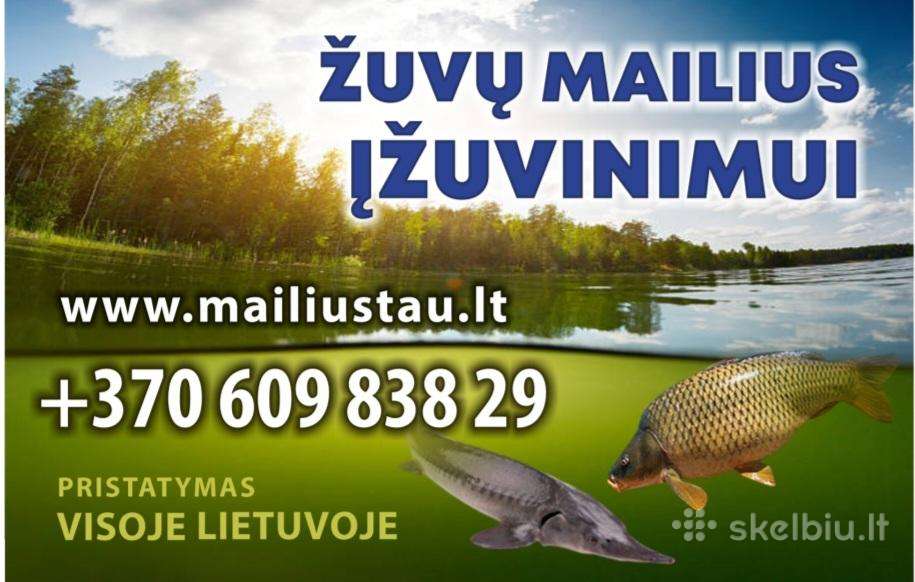 Mailius, įžuvinimas, žuvų įžuvinimui